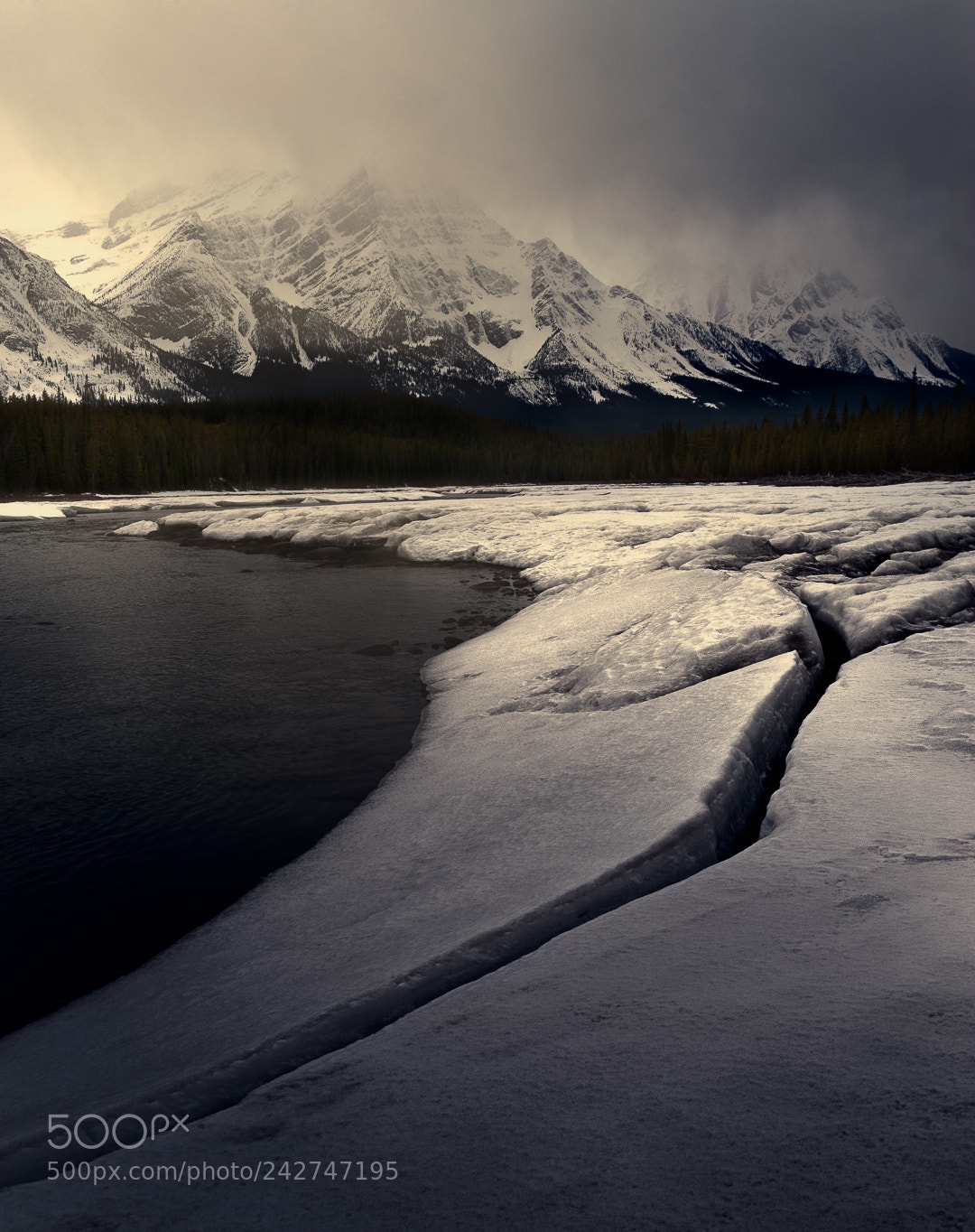 Nikon D700 sample photo. Canadian glow iii photography
