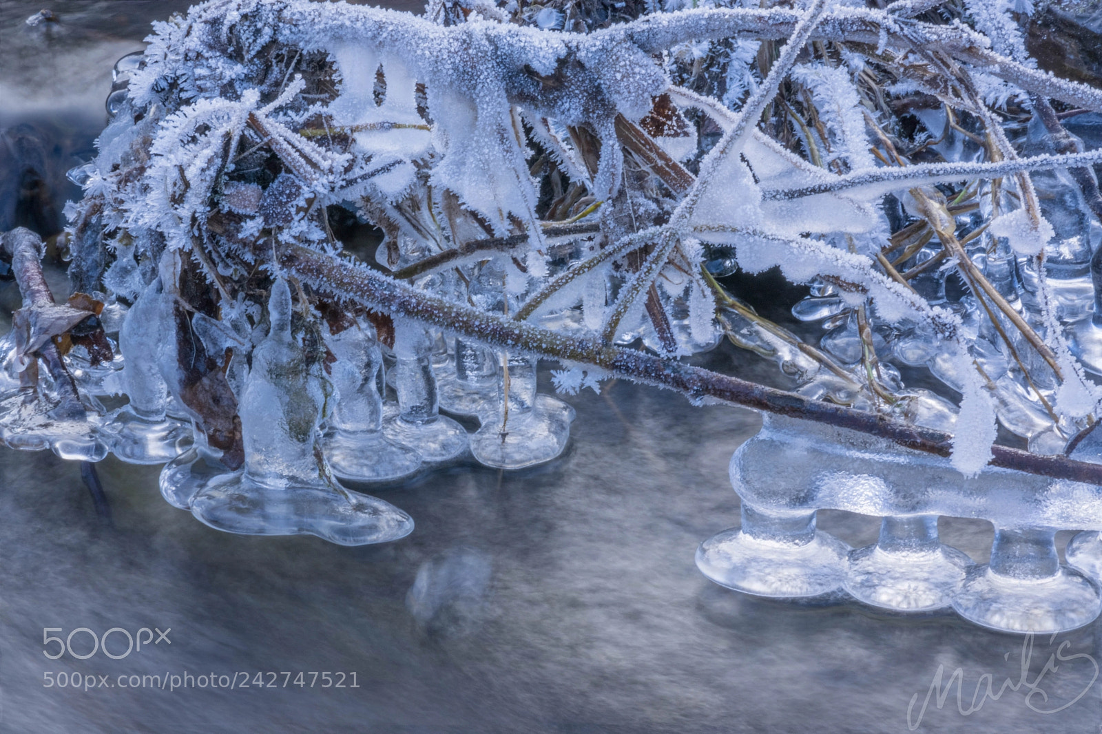 Pentax K-3 sample photo. Frozen photography