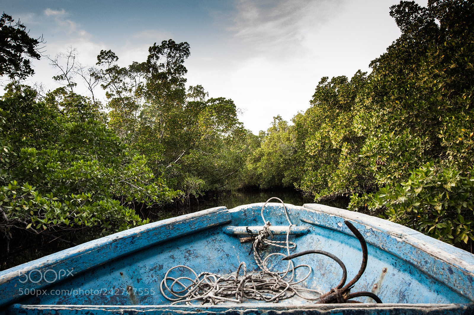 Nikon D700 sample photo. Senegal photography