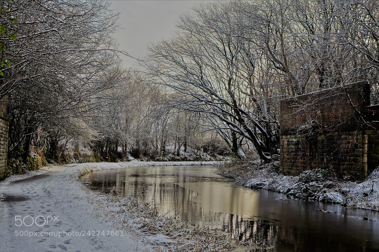 Sony Cyber-shot DSC-RX10 sample photo. Summer in scotland only photography