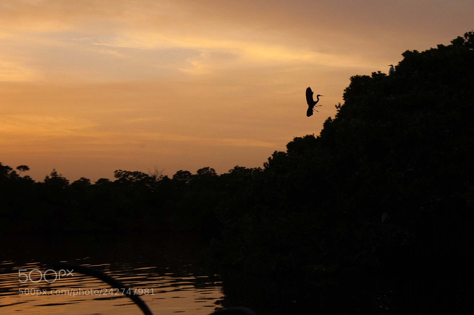 Nikon D700 sample photo. Senegal photography