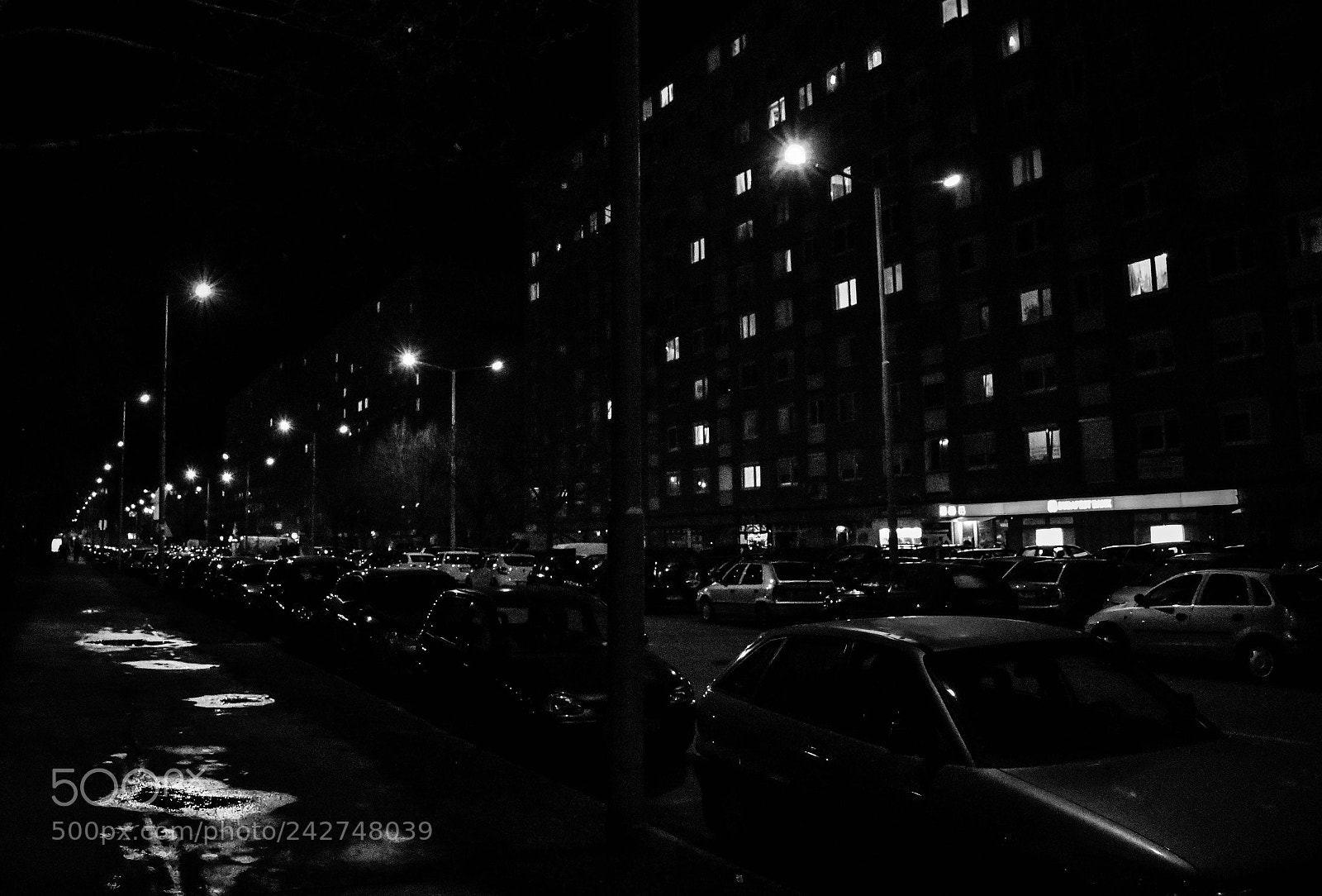 Nikon D3400 sample photo. Street at night photography