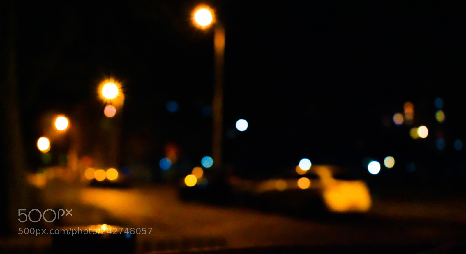 Nikon D3400 sample photo. Slightly out of focus photography