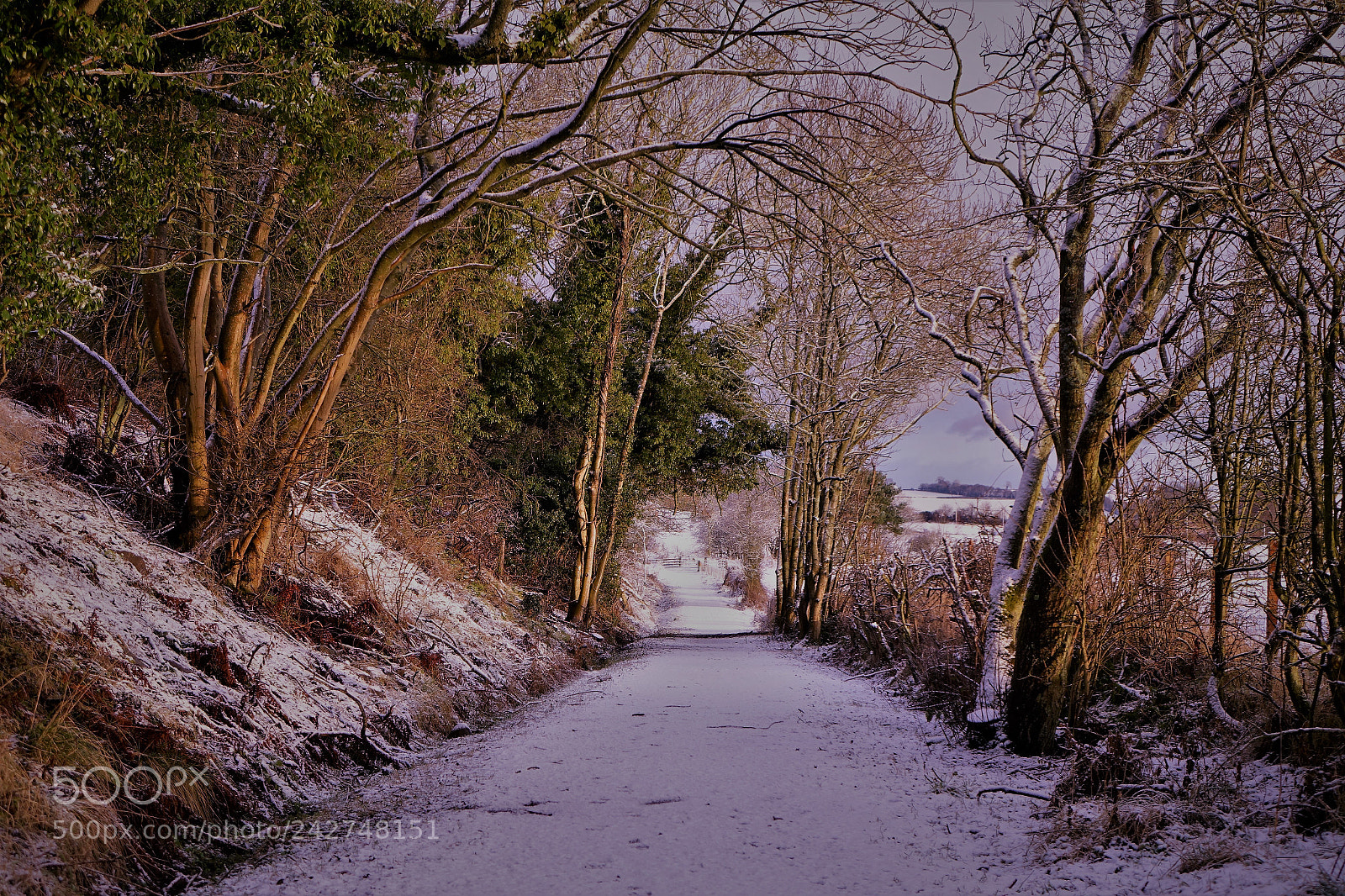 Sony Cyber-shot DSC-RX10 sample photo. Snow & sunshine photography
