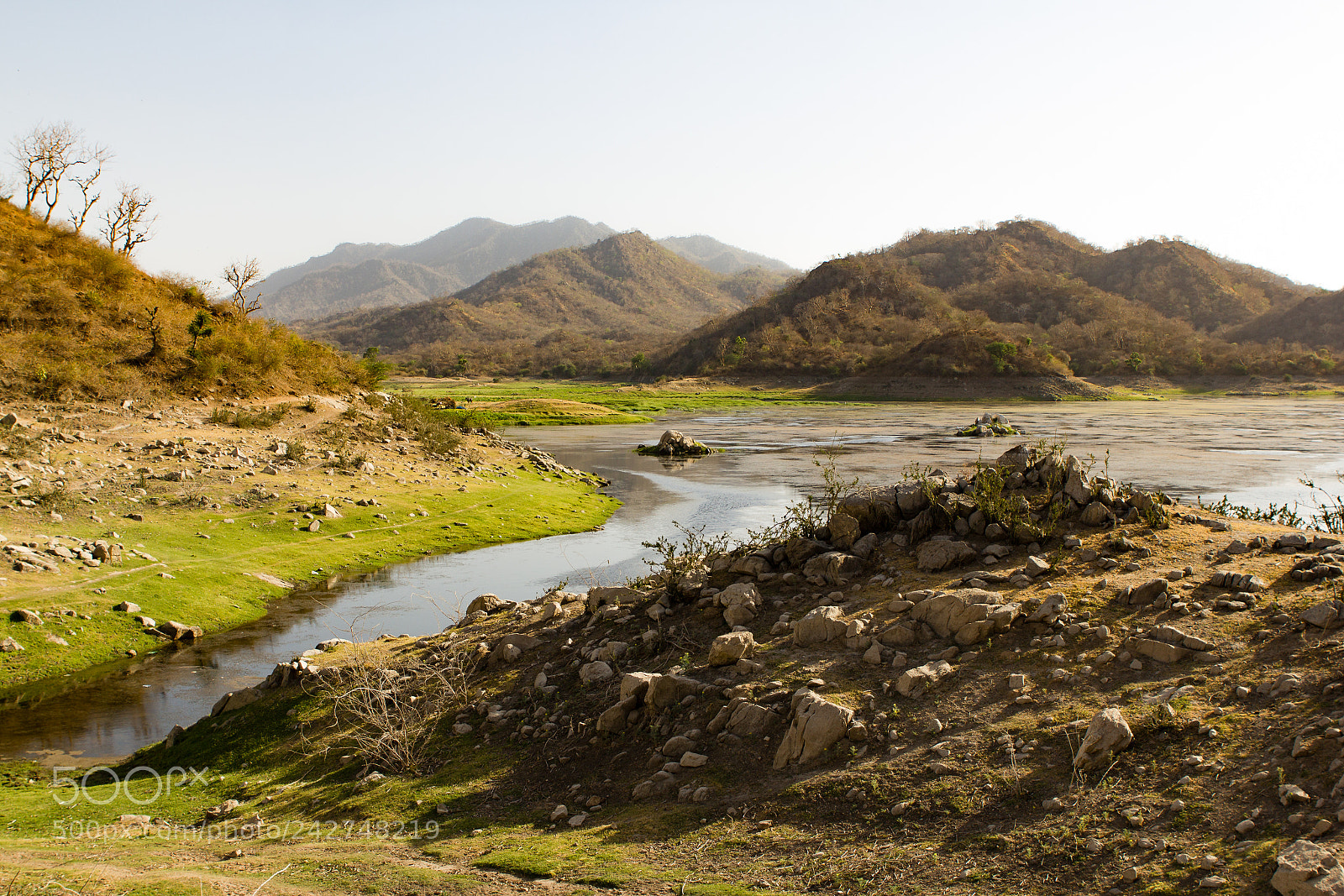 Canon EOS 550D (EOS Rebel T2i / EOS Kiss X4) sample photo. Ranakpur, india photography
