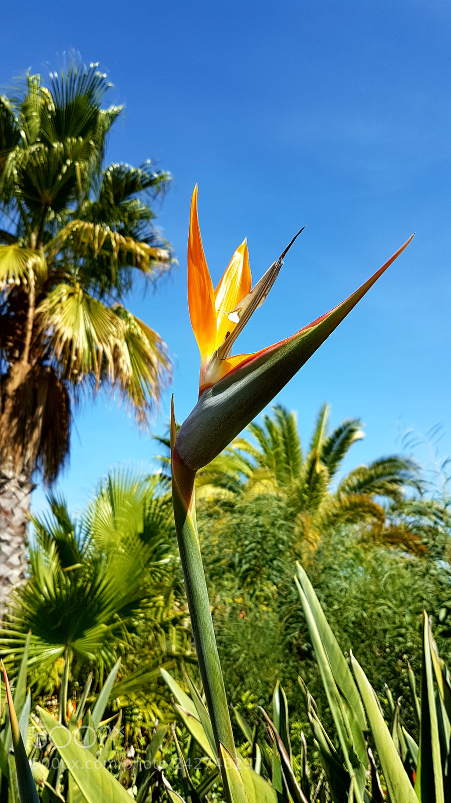 Samsung Galaxy S7 Edge sample photo. 20160924_151310.jpg photography