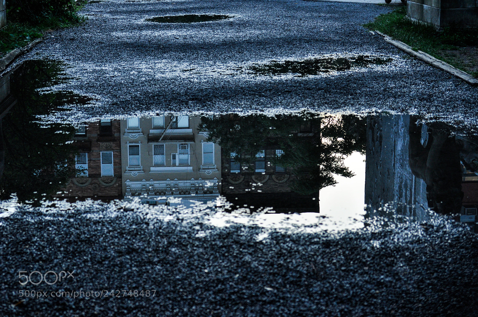 Nikon D90 sample photo. Portal puddle, 2016 photography