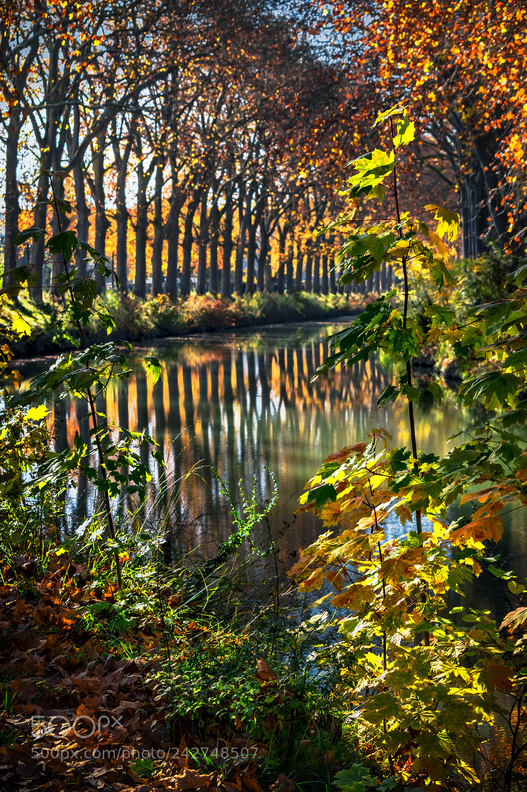 Nikon D7200 sample photo. Curve on the canal 3 photography
