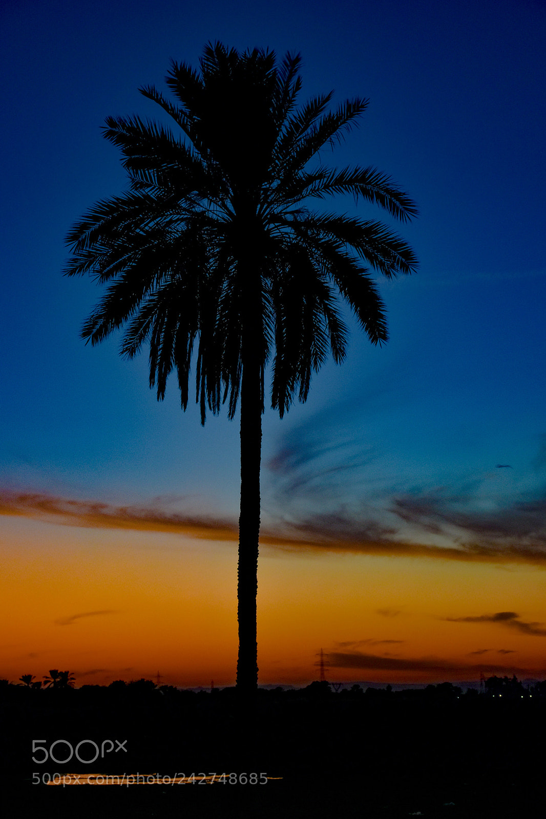 Nikon D7200 sample photo. Untitled photography
