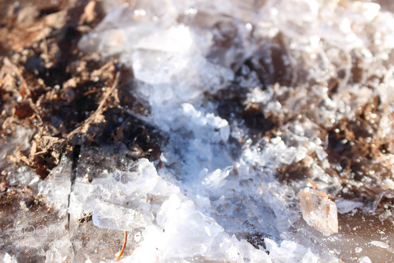 Canon EOS 100D (EOS Rebel SL1 / EOS Kiss X7) sample photo. Shattered photography
