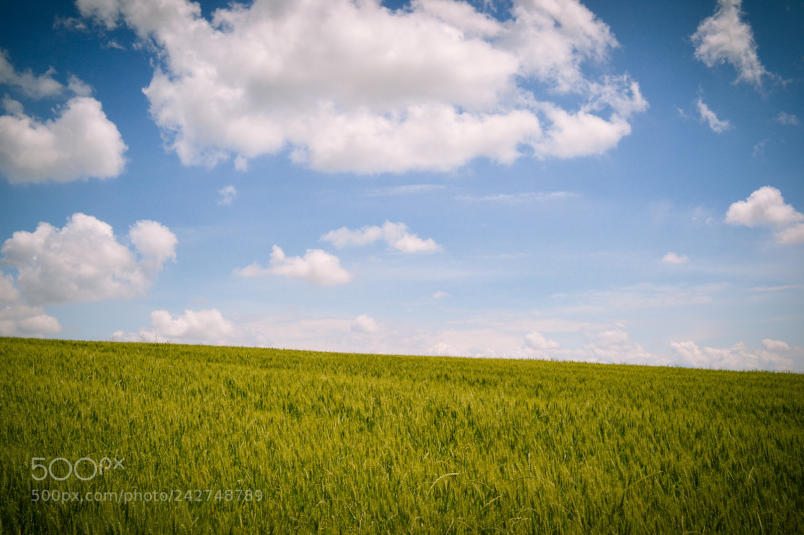 Nikon D3100 sample photo. Paradise photography