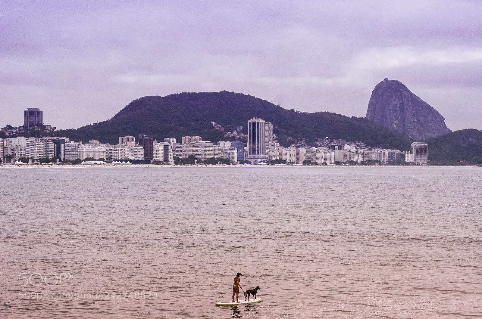 Nikon D5100 sample photo. This is rio de photography
