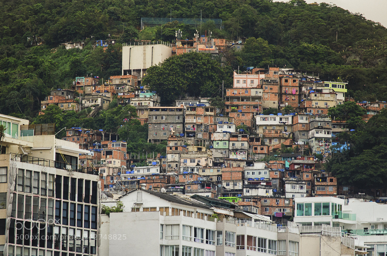 Nikon D5100 sample photo. This is rio de photography