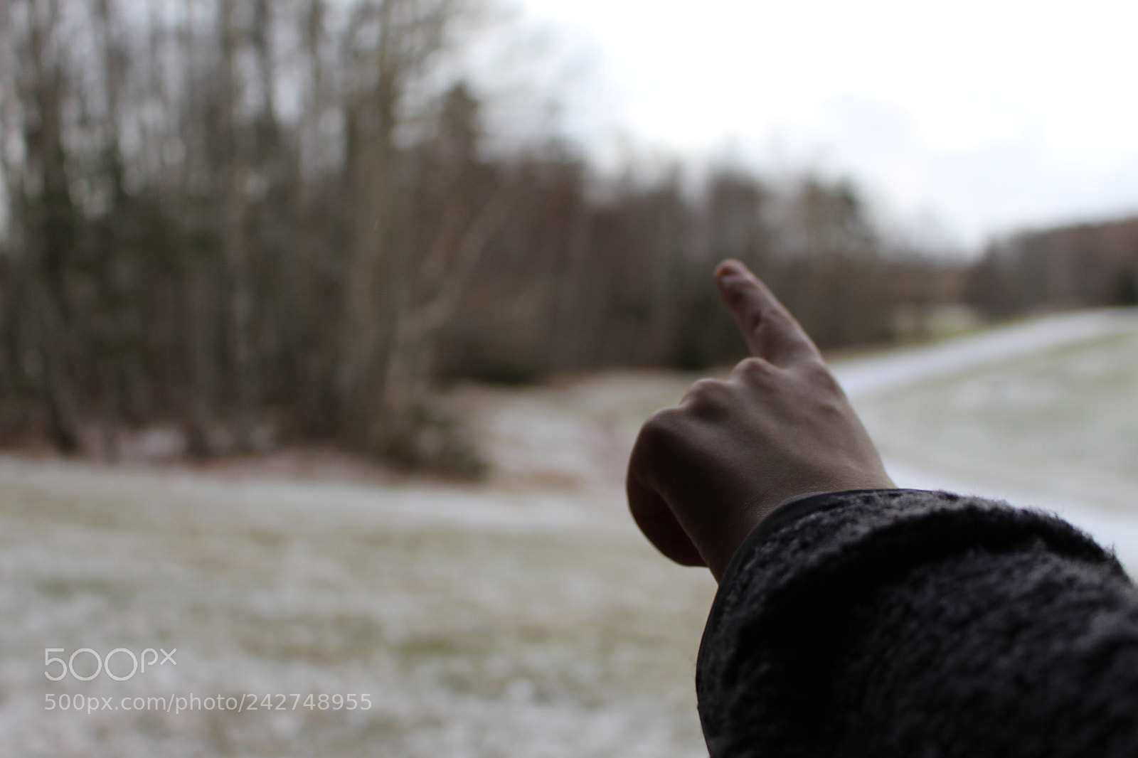Canon EOS 700D (EOS Rebel T5i / EOS Kiss X7i) sample photo. Do you see it? photography
