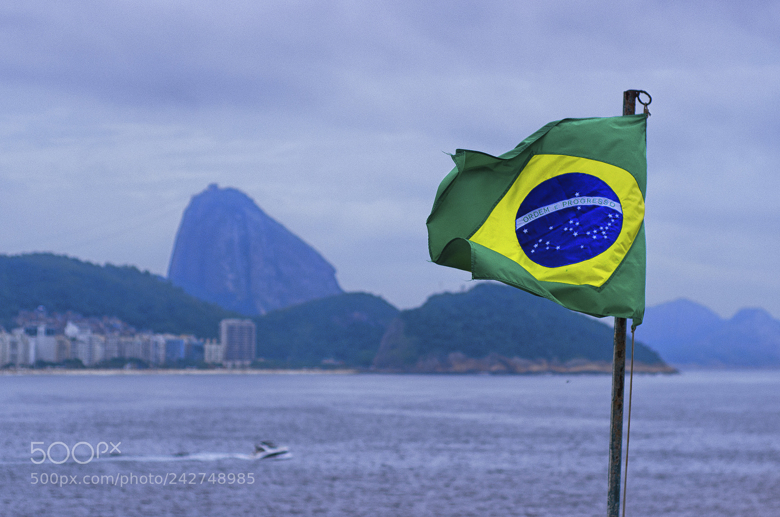 Nikon D5100 sample photo. This is rio de photography