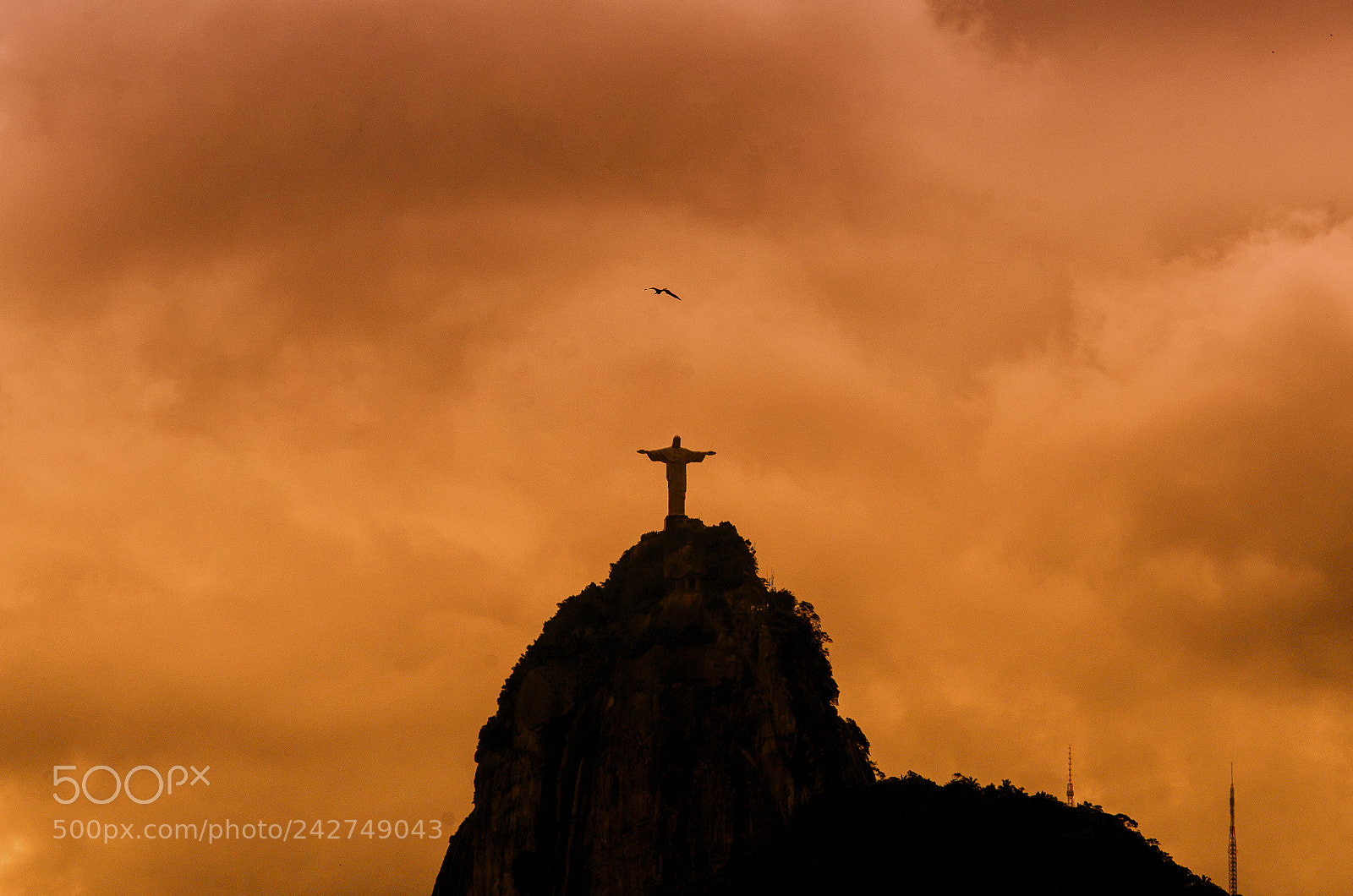 Nikon D5100 sample photo. This is rio de photography