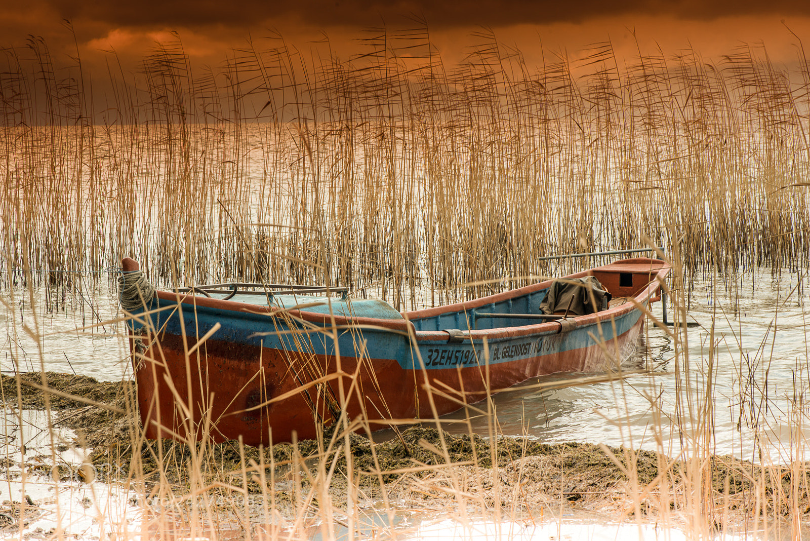 Nikon D800 sample photo. Egirdir, sazl klar n photography