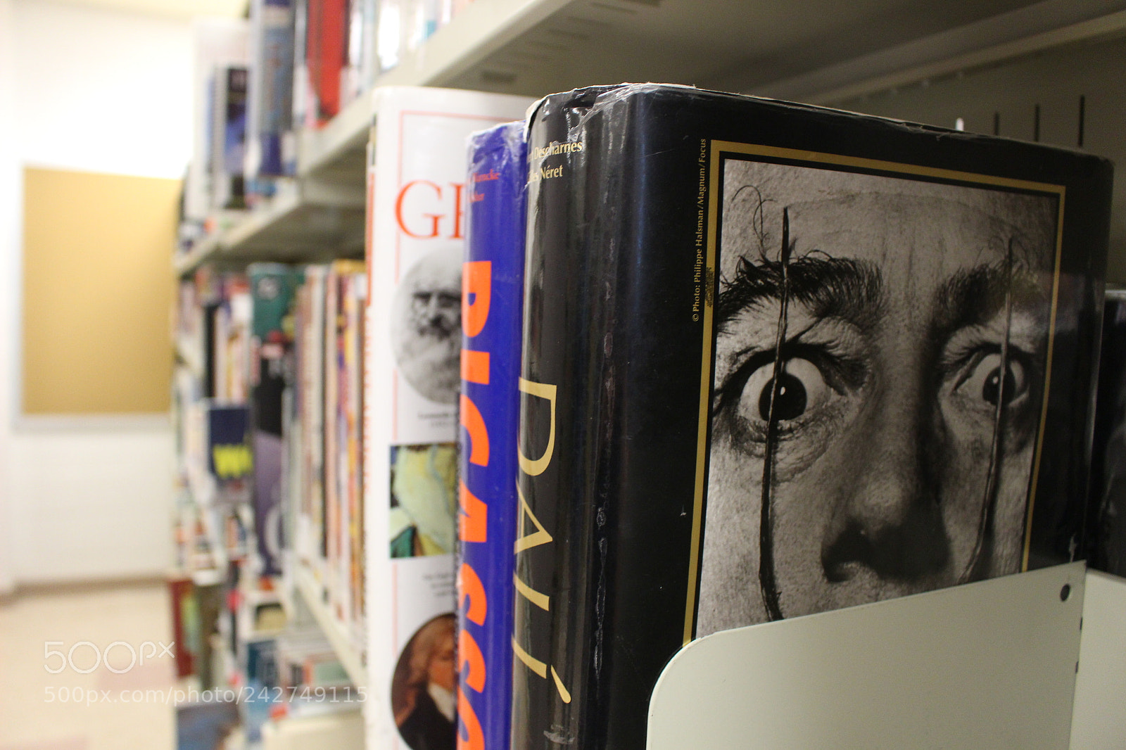 Canon EOS 100D (EOS Rebel SL1 / EOS Kiss X7) sample photo. Crazy eyes photography
