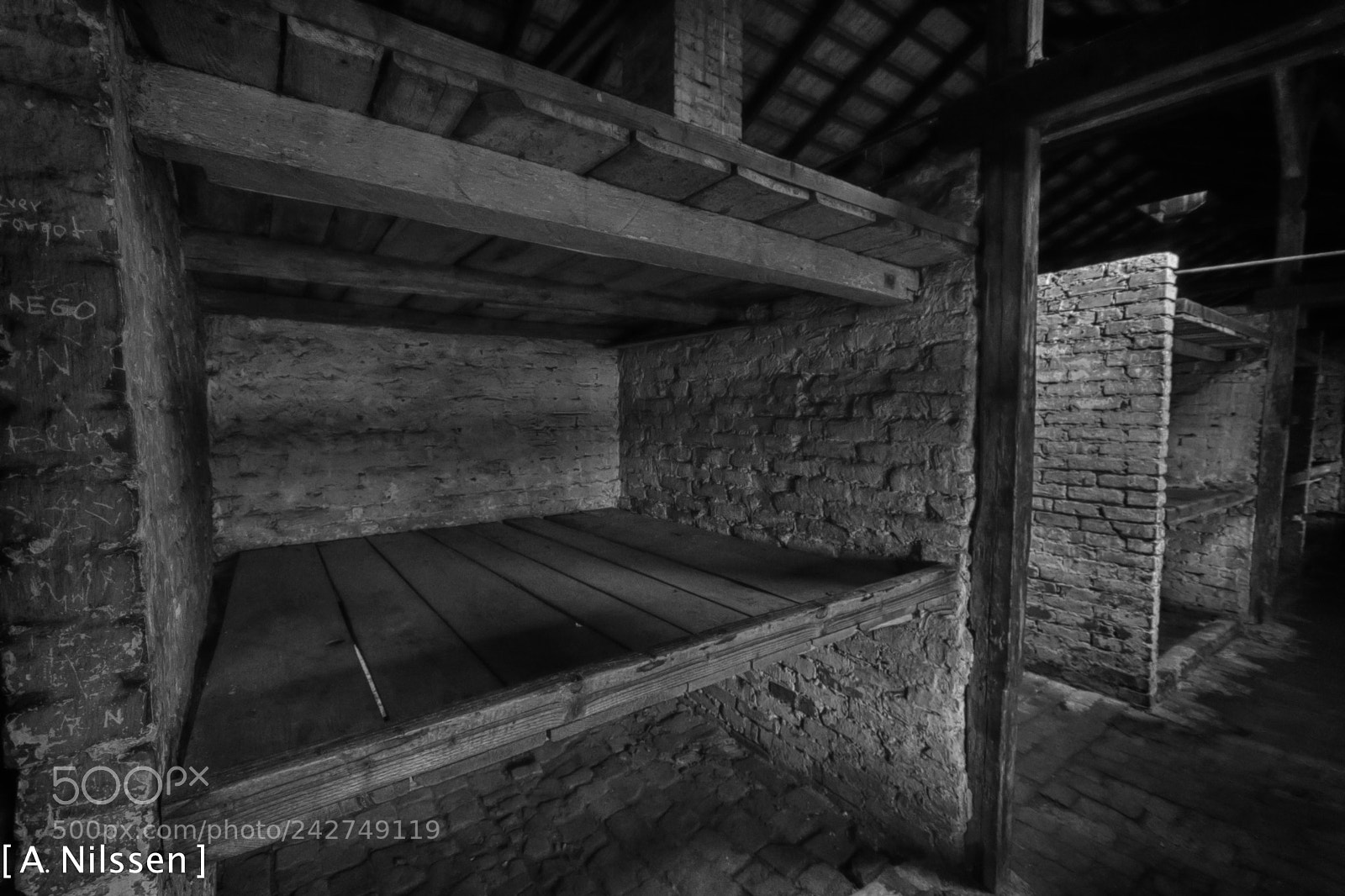 Nikon D500 sample photo. Birkenau - interior of photography