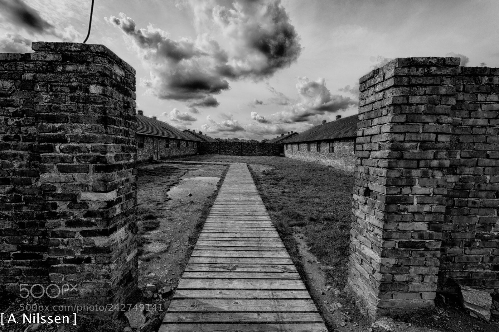Nikon D500 sample photo. Through the gate photography