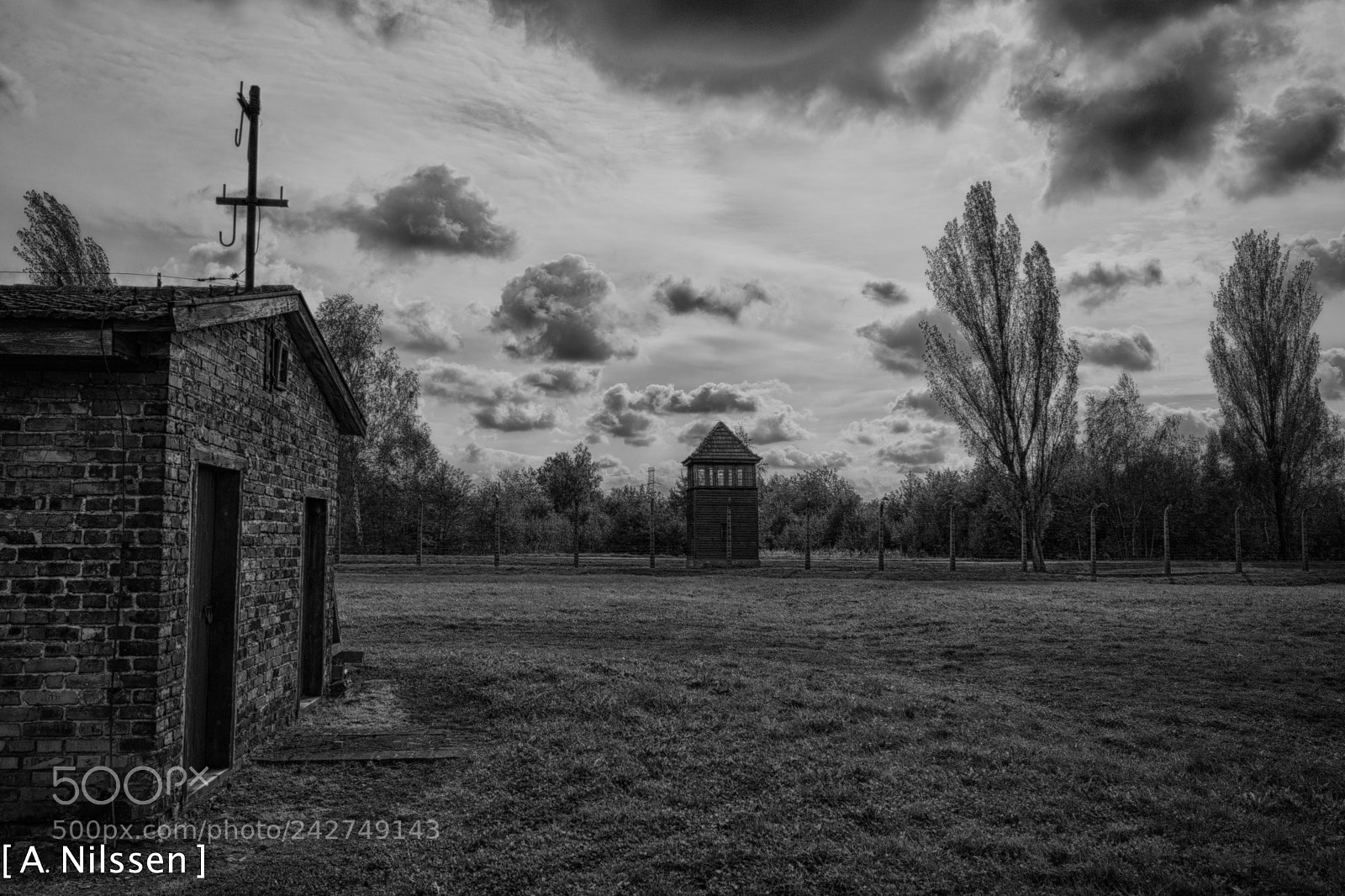 Nikon D500 sample photo. Birkenau photography