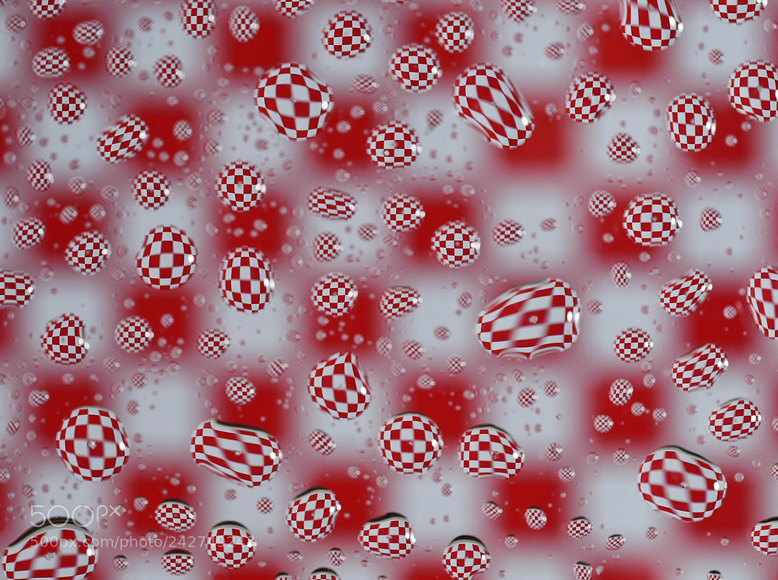 Nikon D600 sample photo. Above the pattern photography