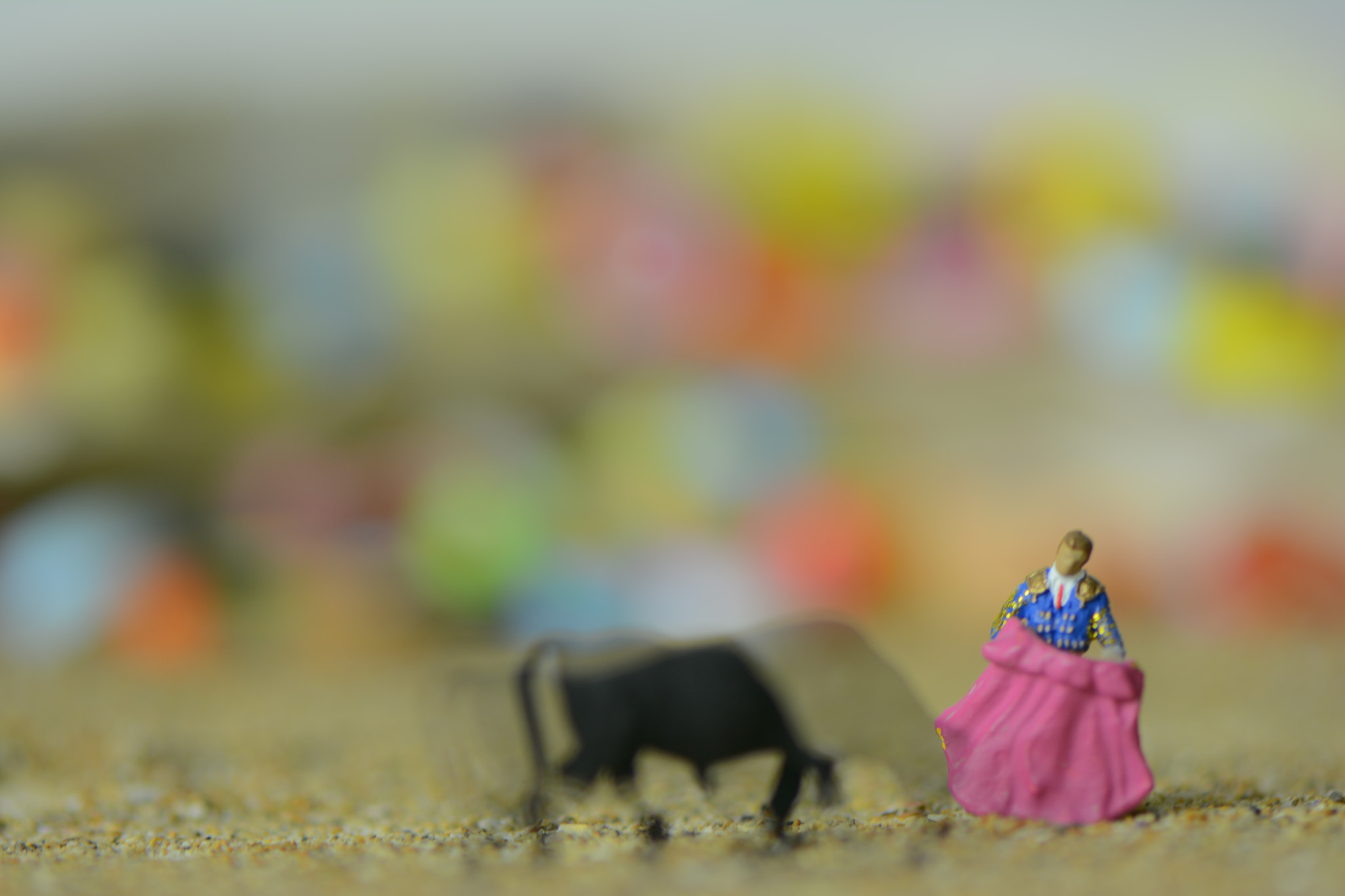 Nikon AF-S Micro-Nikkor 105mm F2.8G IF-ED VR sample photo