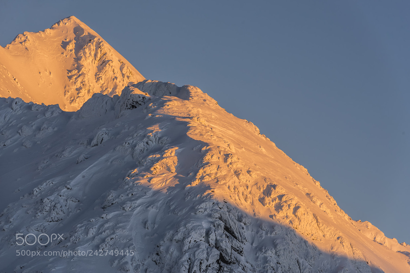 Nikon D610 sample photo. Negoiu peak photography