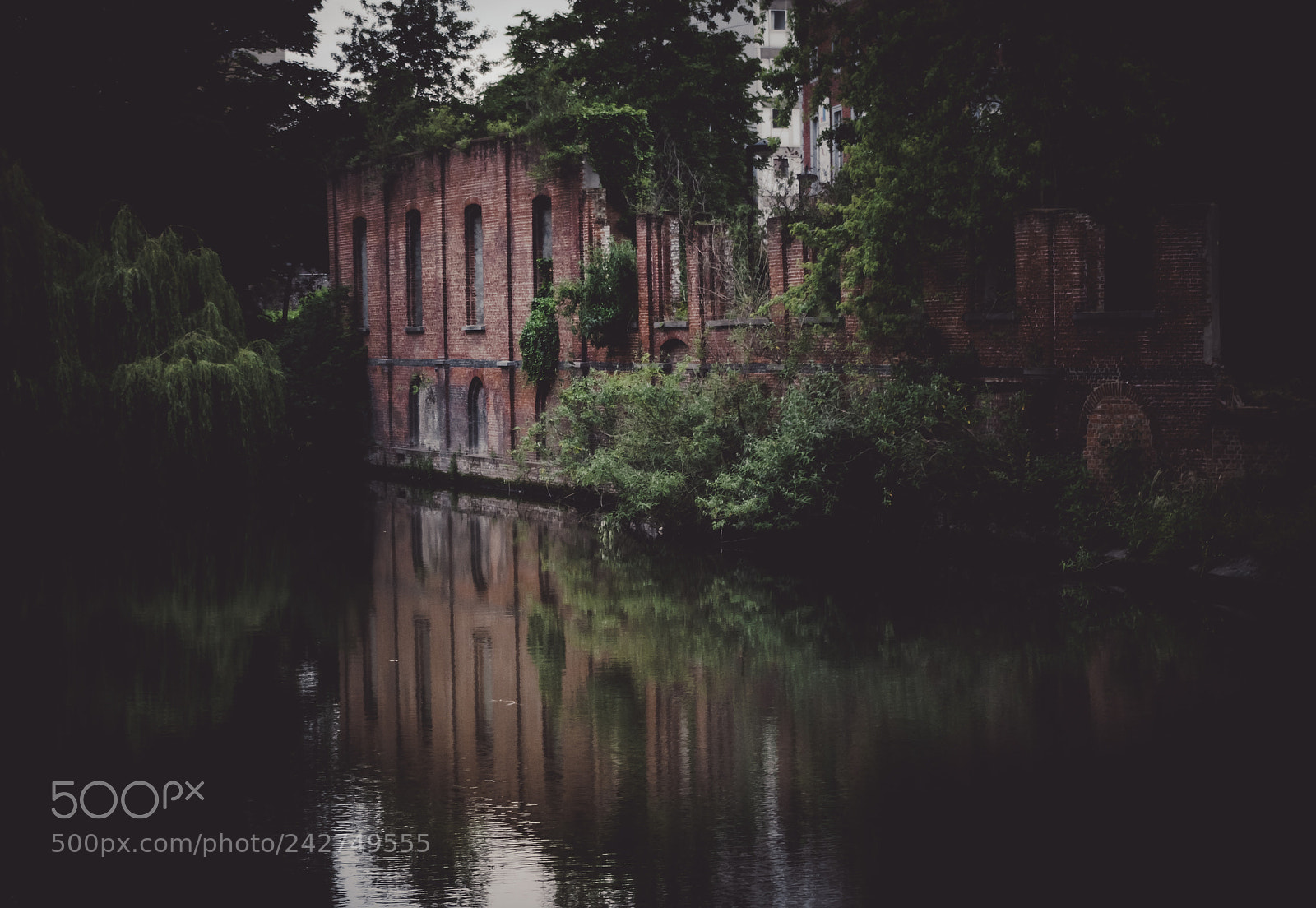 Pentax K-7 sample photo. Ruins in nature photography