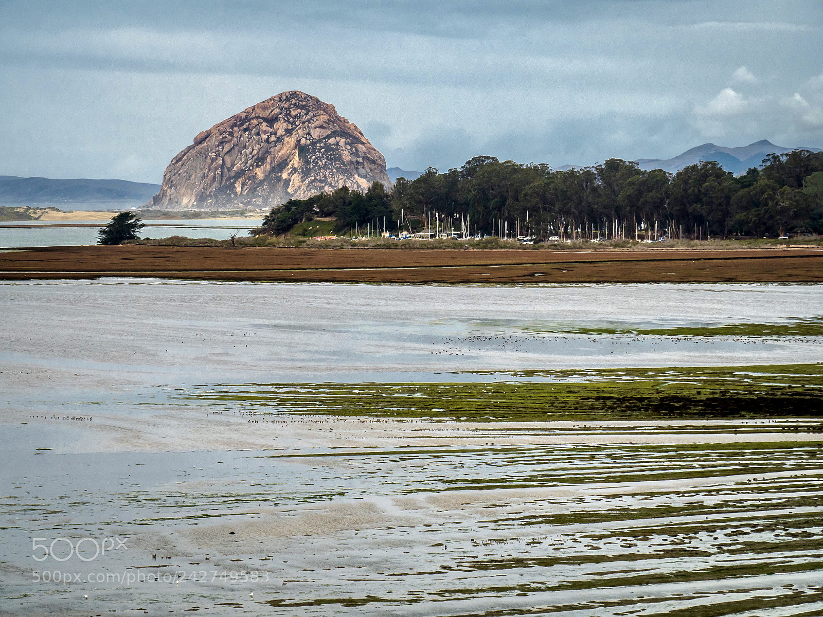 Olympus OM-D E-M5 II sample photo. Morro rock photography