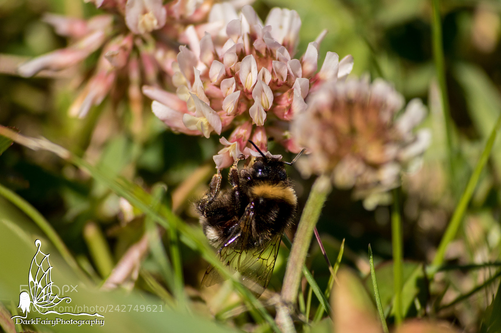 Canon EOS 750D (EOS Rebel T6i / EOS Kiss X8i) sample photo. Busy holding on photography