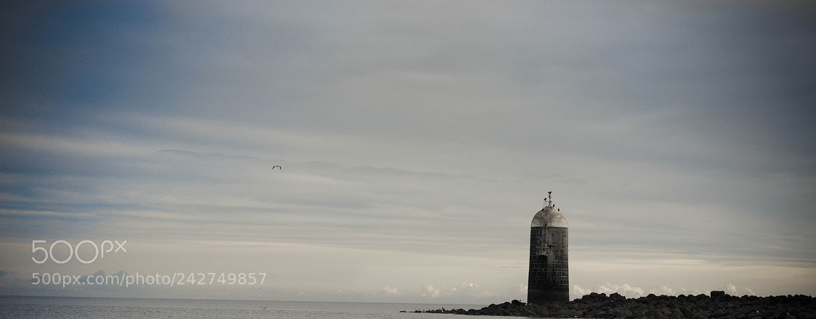 Nikon D3100 sample photo. Untitled photography