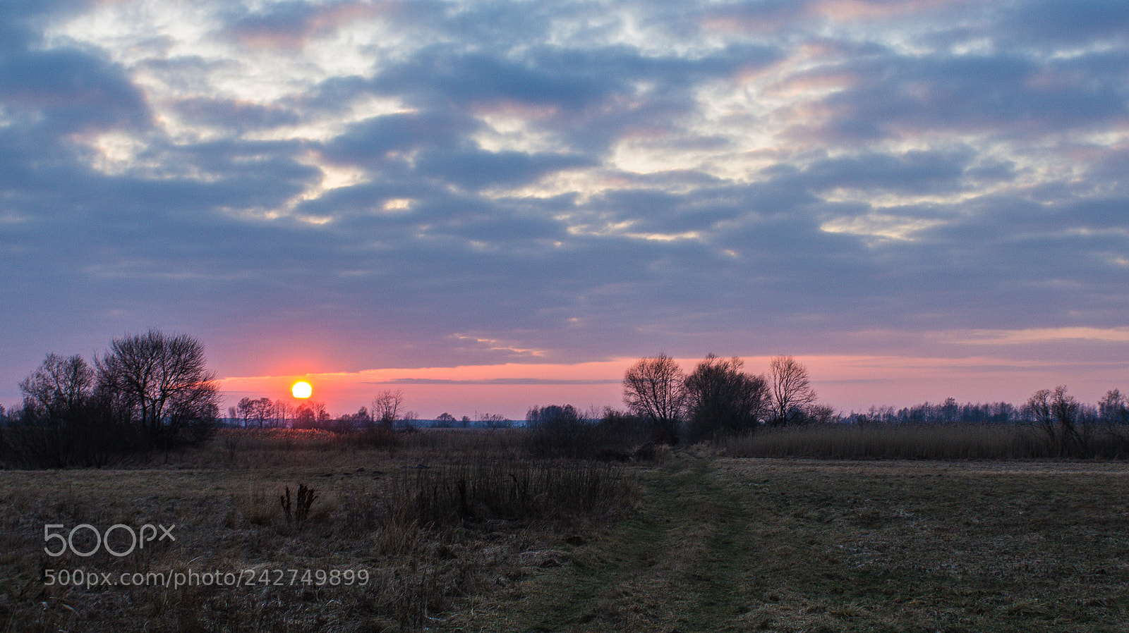 Canon EOS 1200D (EOS Rebel T5 / EOS Kiss X70 / EOS Hi) sample photo. Meadow sunset photography