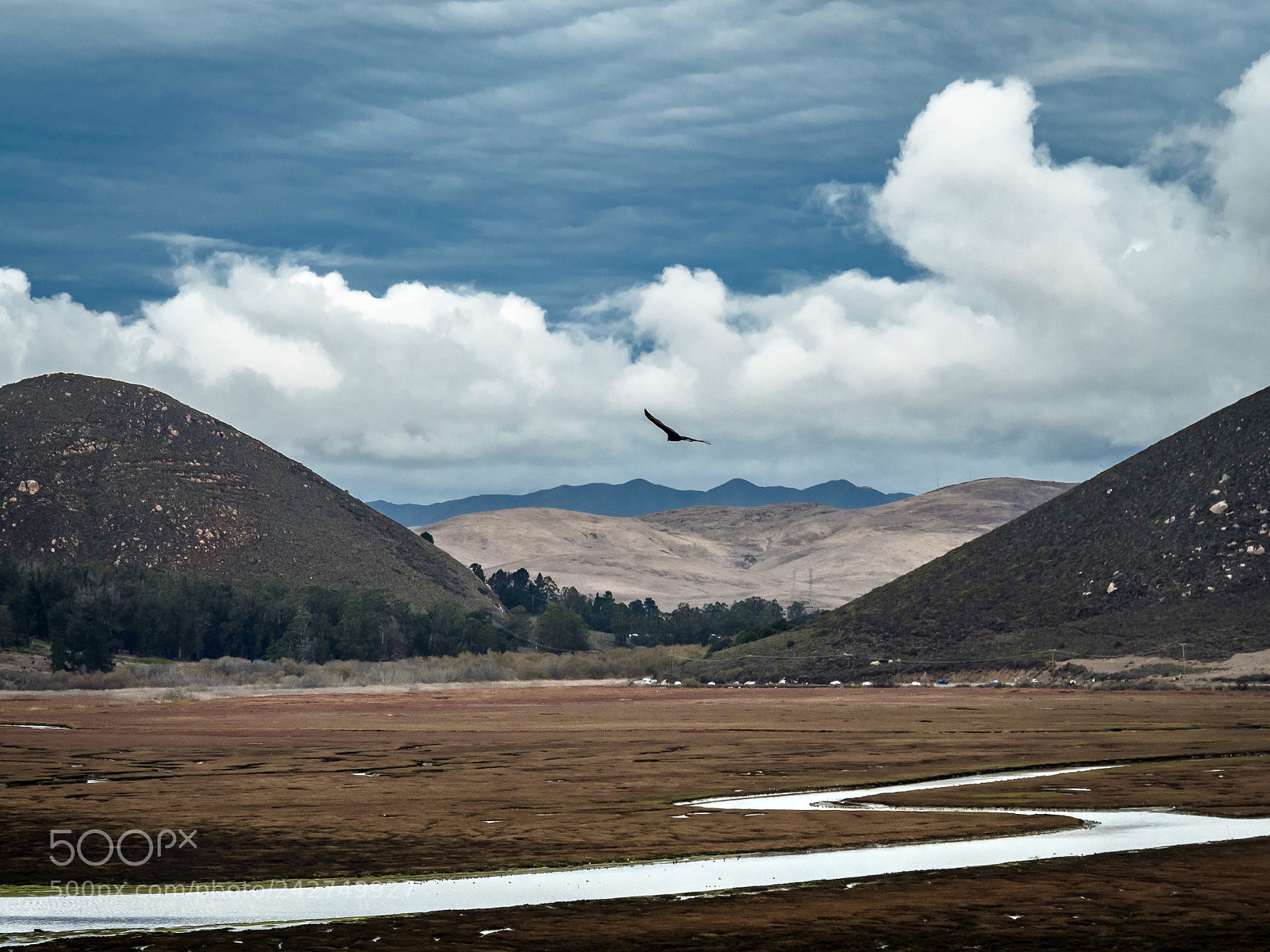 Olympus OM-D E-M5 II sample photo. Morro bay estuary photography