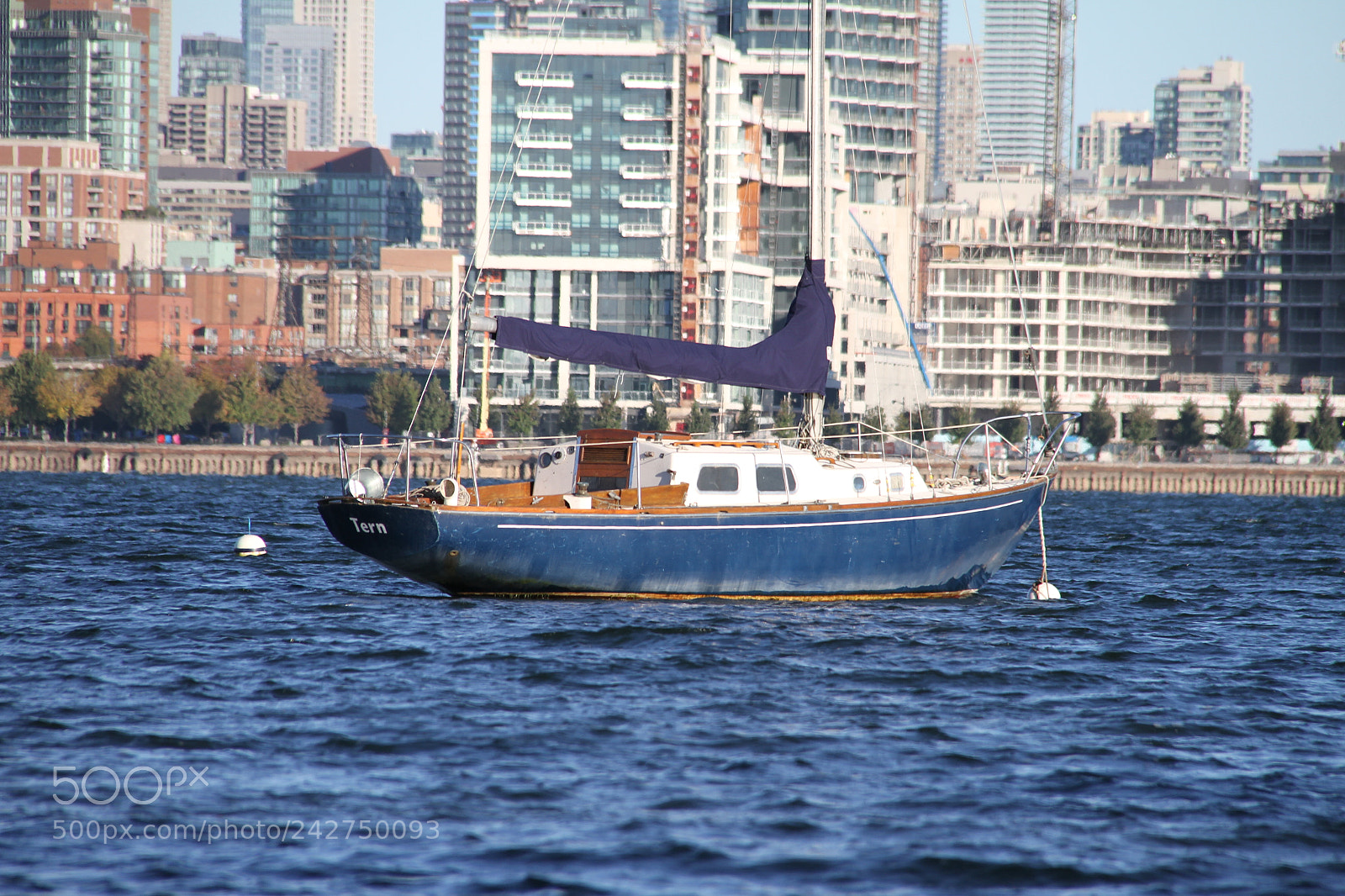 Canon EF-S 18-200mm F3.5-5.6 IS sample photo. Img photography