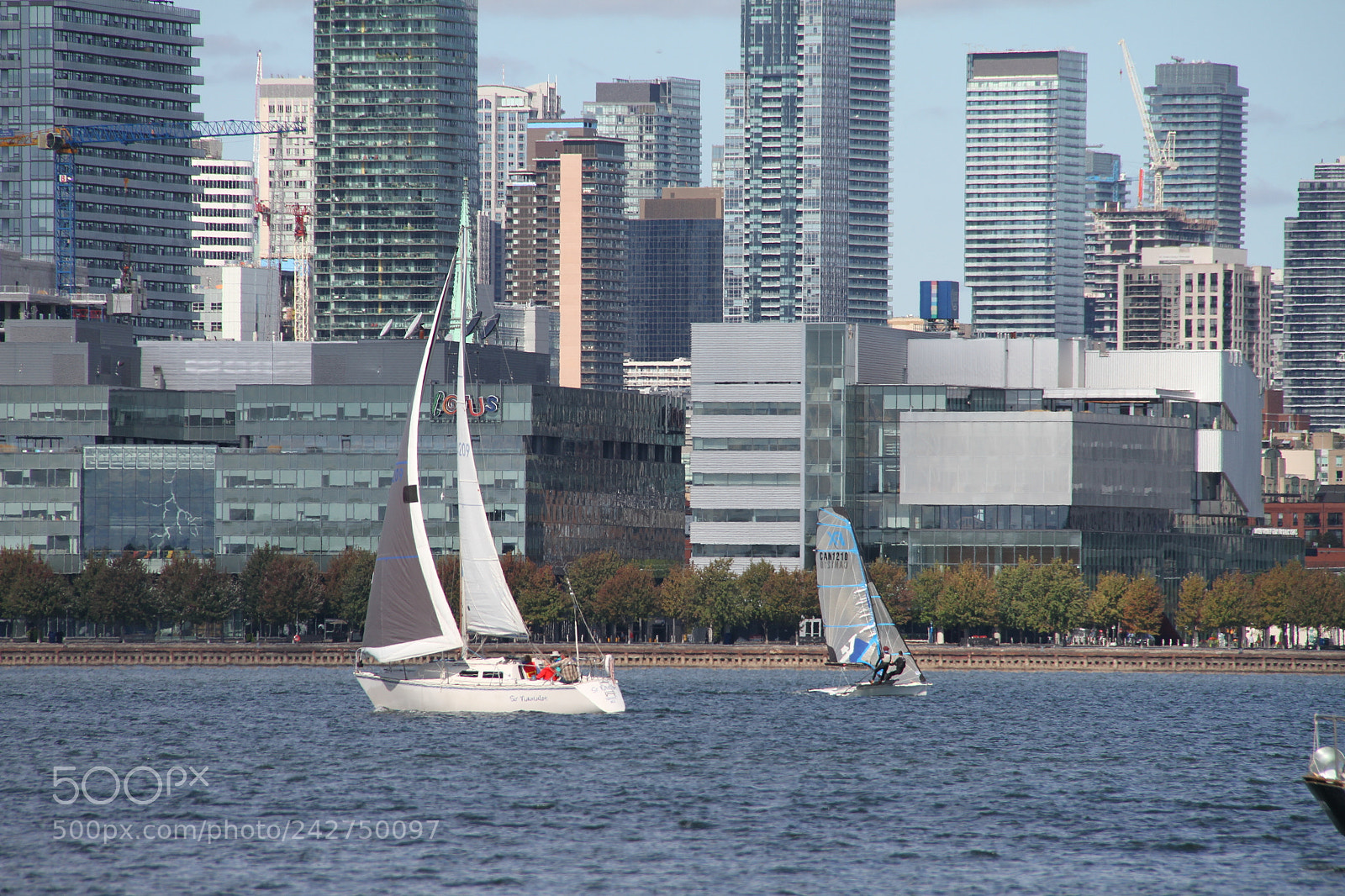 Canon EF-S 18-200mm F3.5-5.6 IS sample photo. Img photography