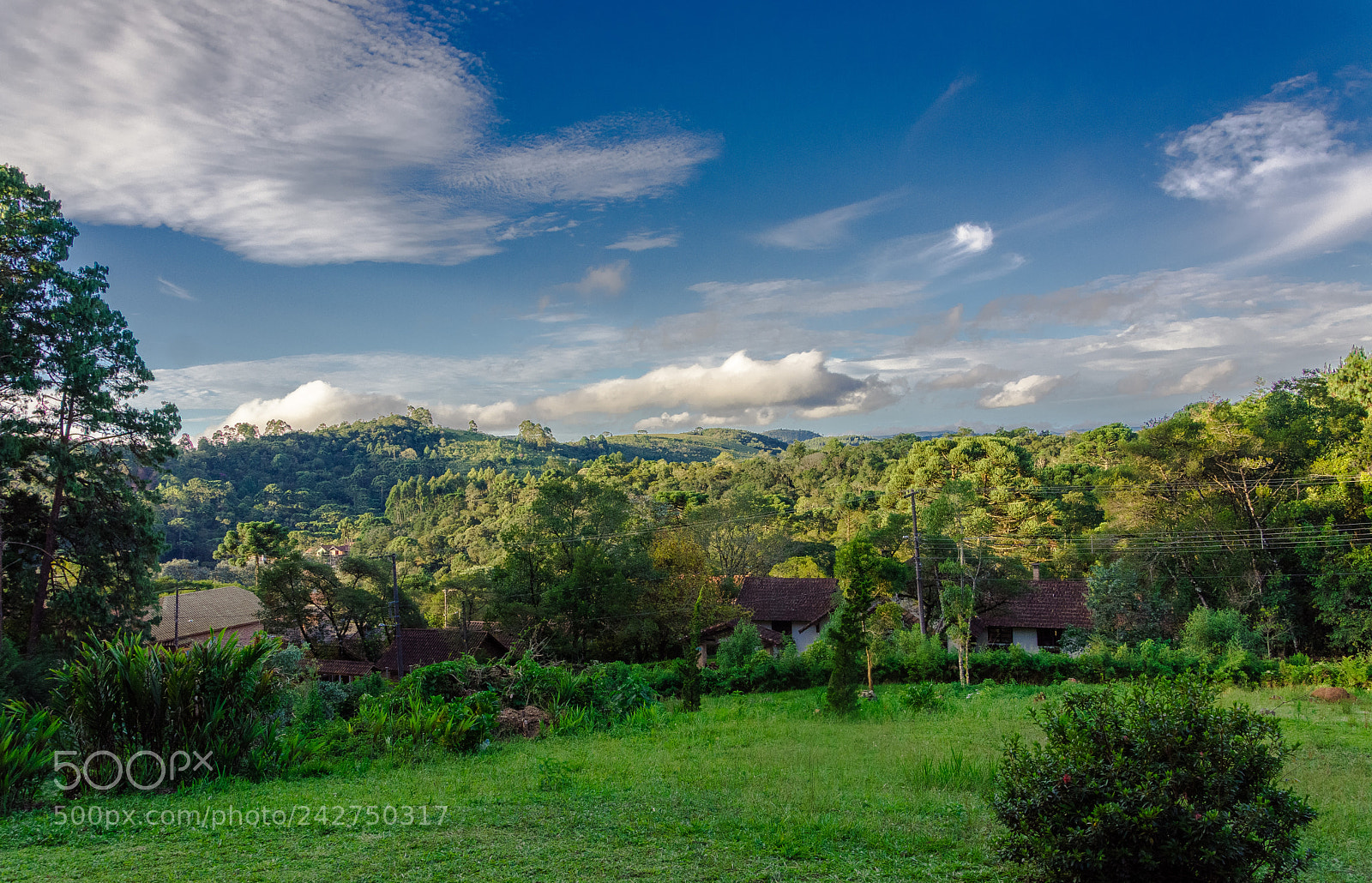 Nikon D7100 sample photo. Afternoon in monte verde photography