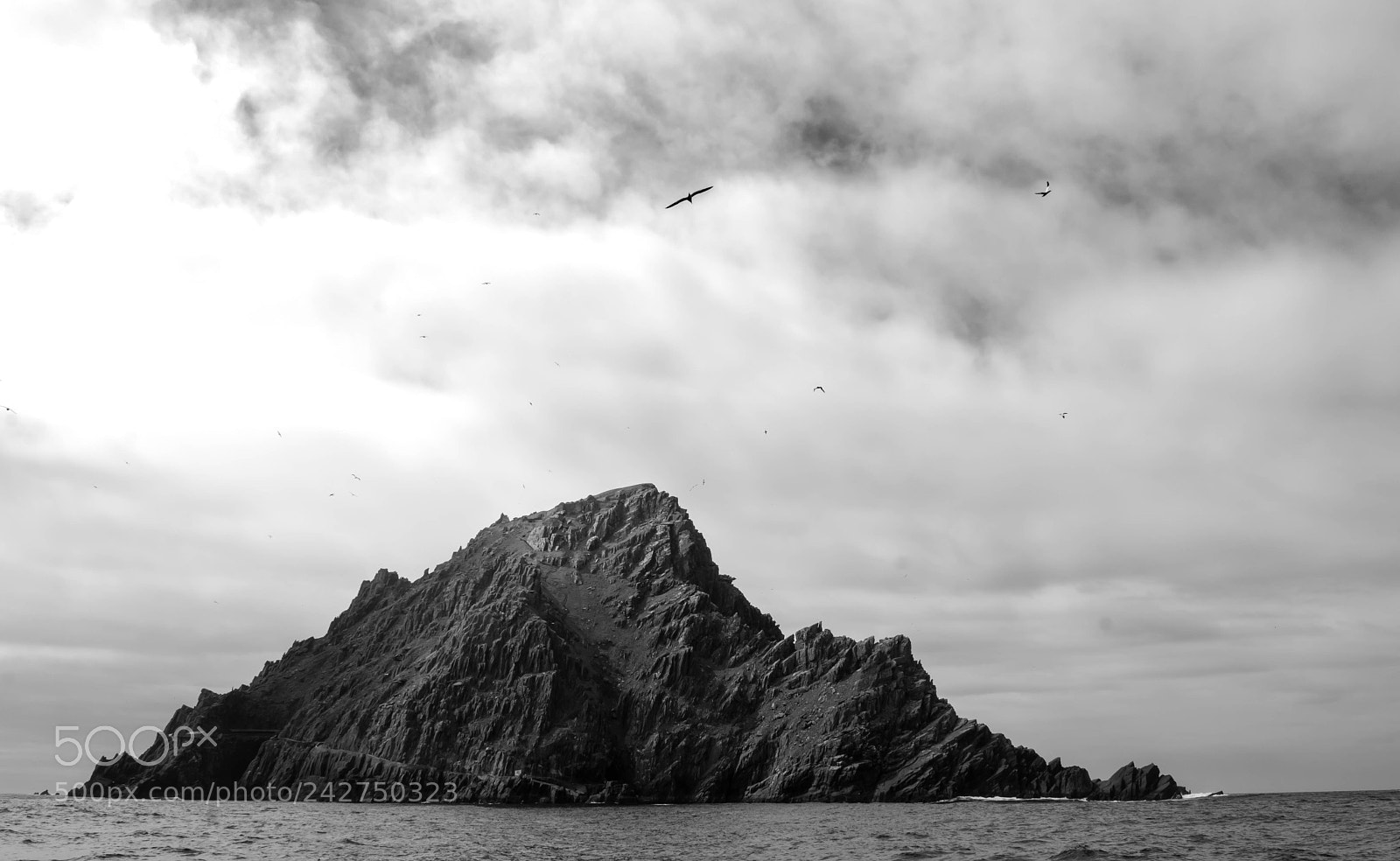 Nikon D7100 sample photo. Untitled photography