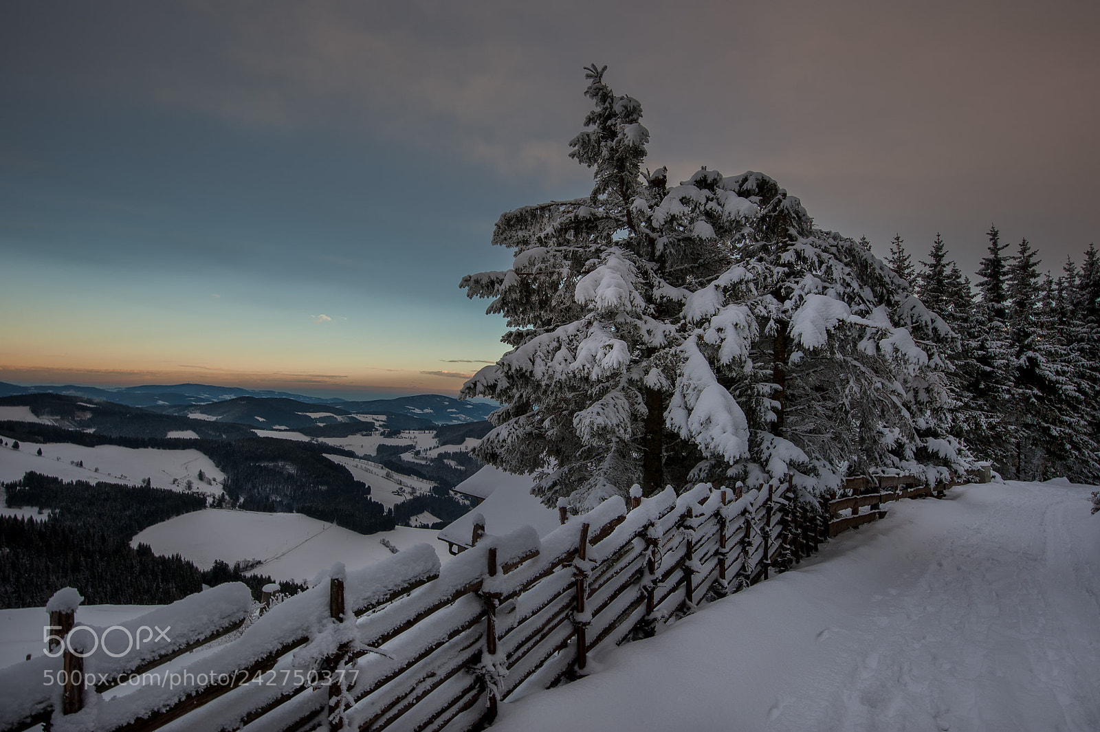 Nikon D3 sample photo. Winterwanderung auf der sommeralm photography
