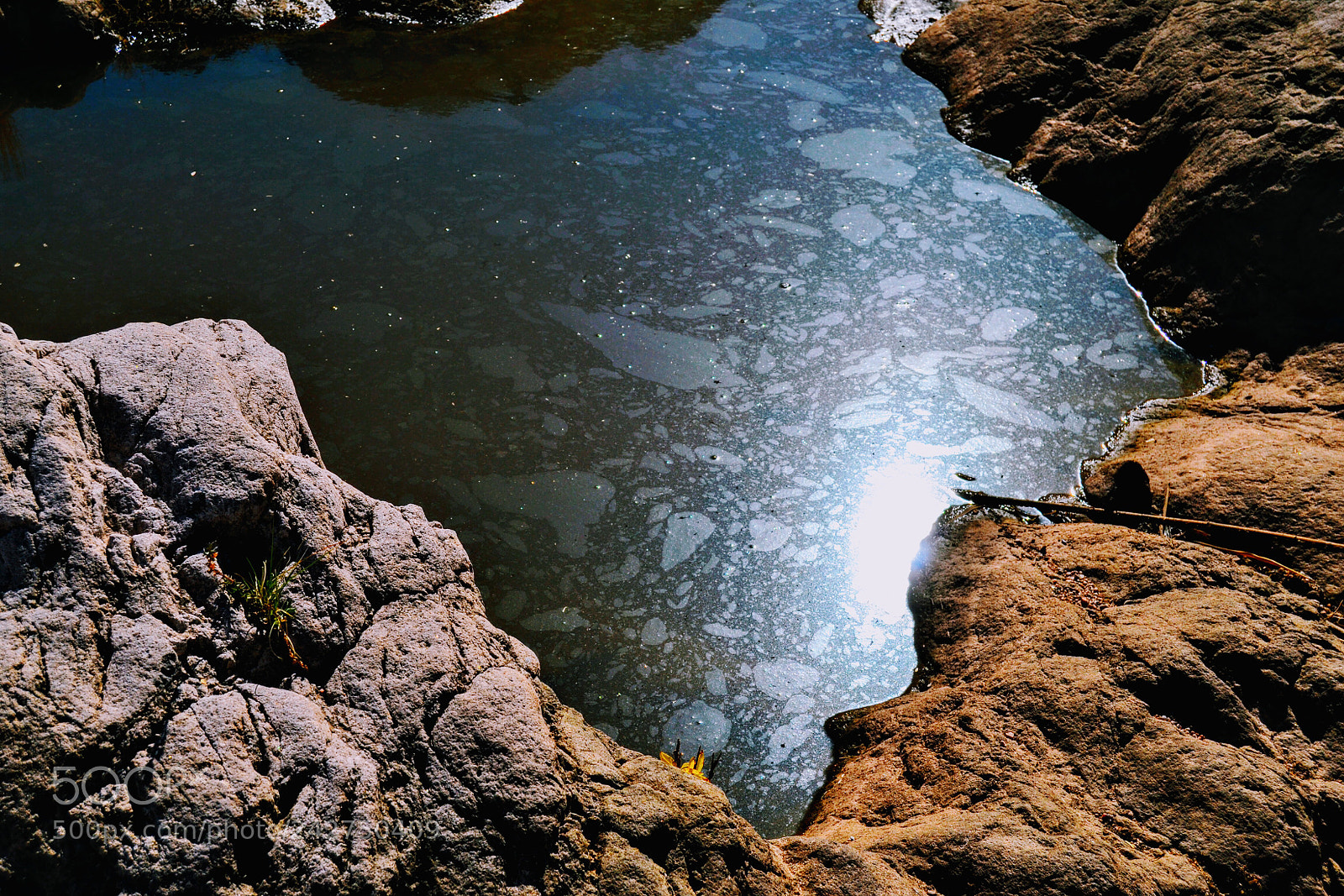 Nikon D3100 sample photo. Untitled photography
