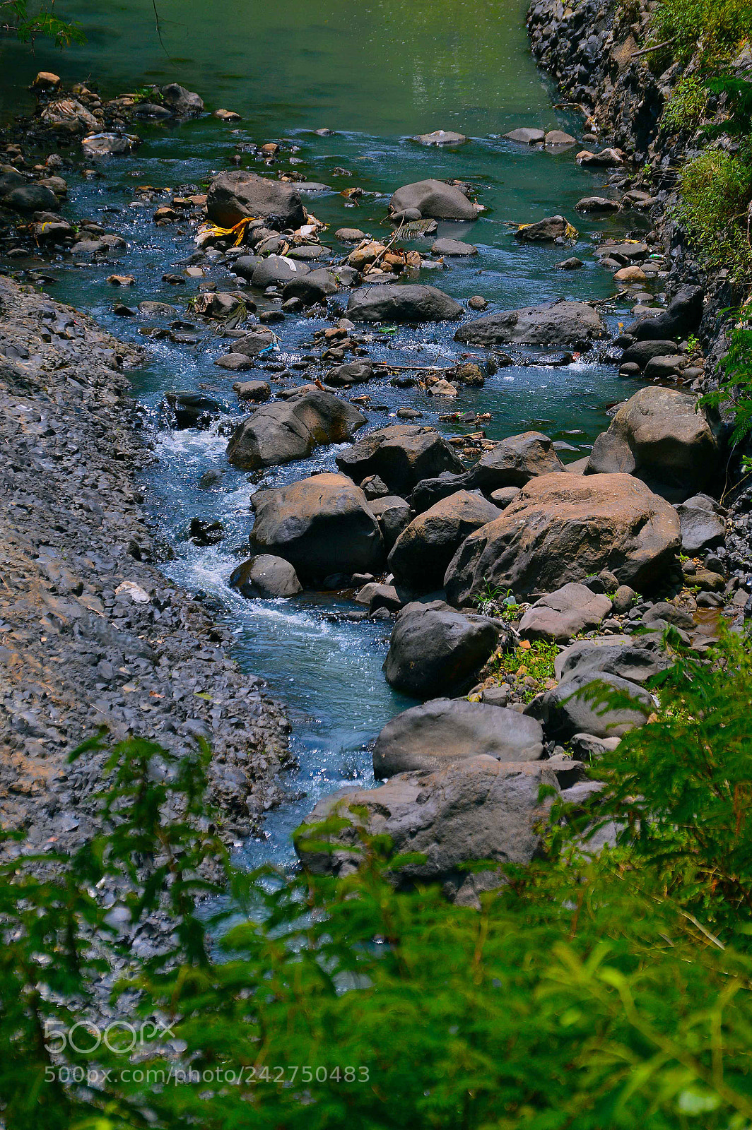 Nikon D3200 sample photo. Nature photography