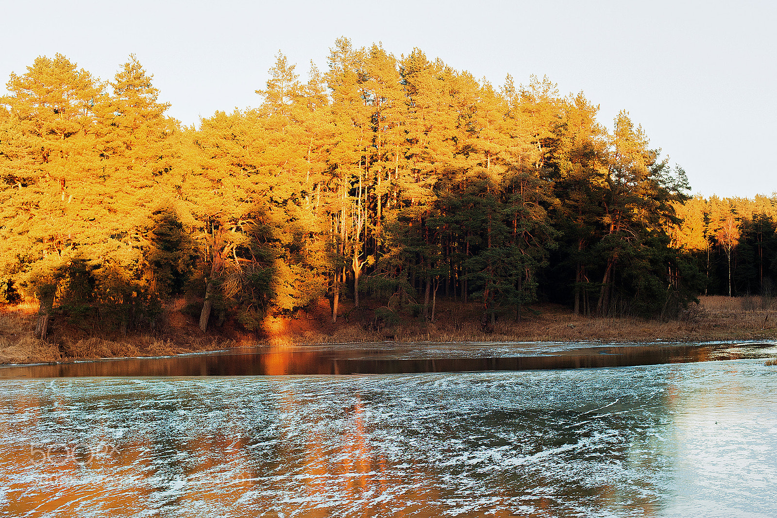 Nikon D3 sample photo. In the winter at photography