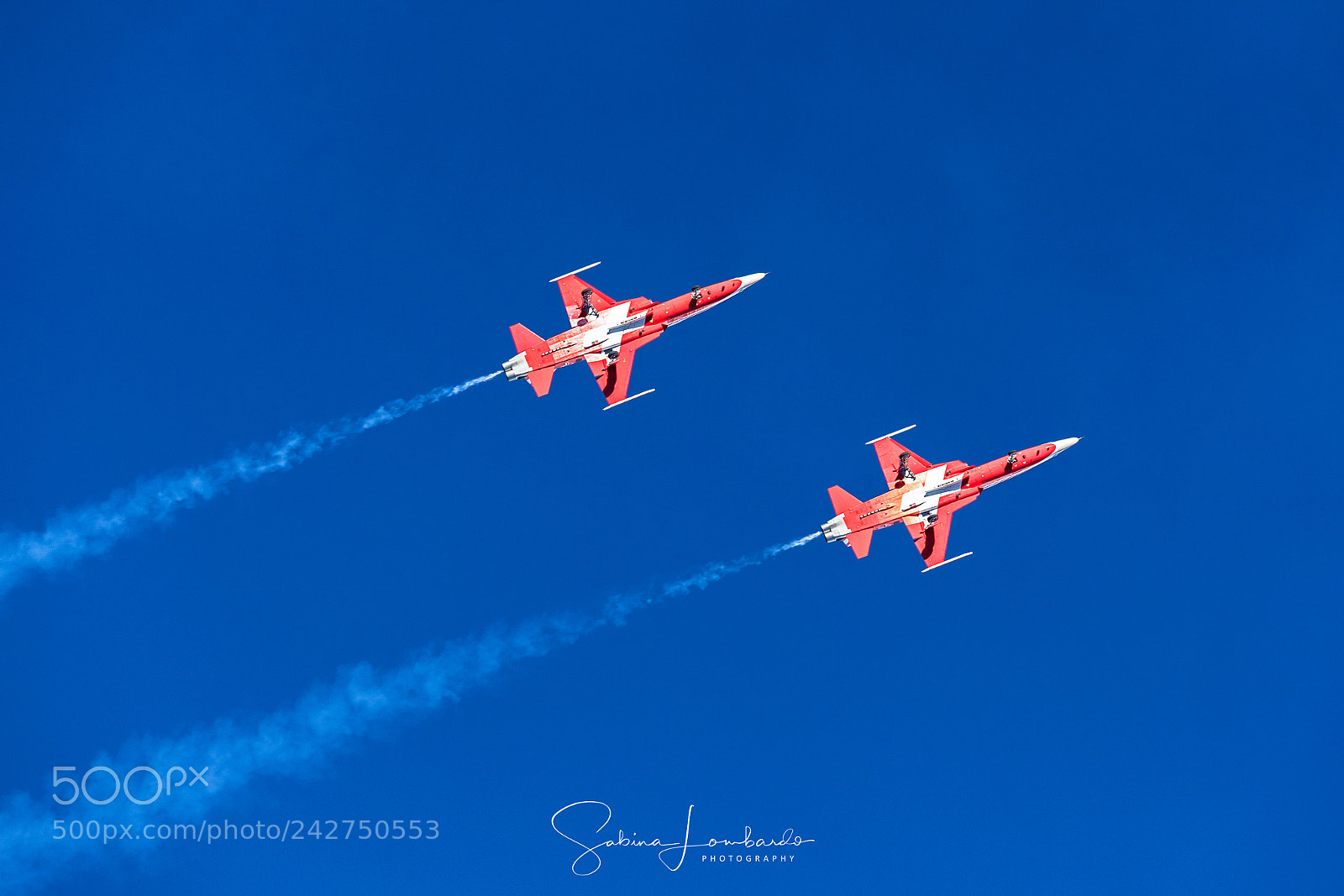 Canon EOS-1D X Mark II sample photo. Patrouille suisse photography
