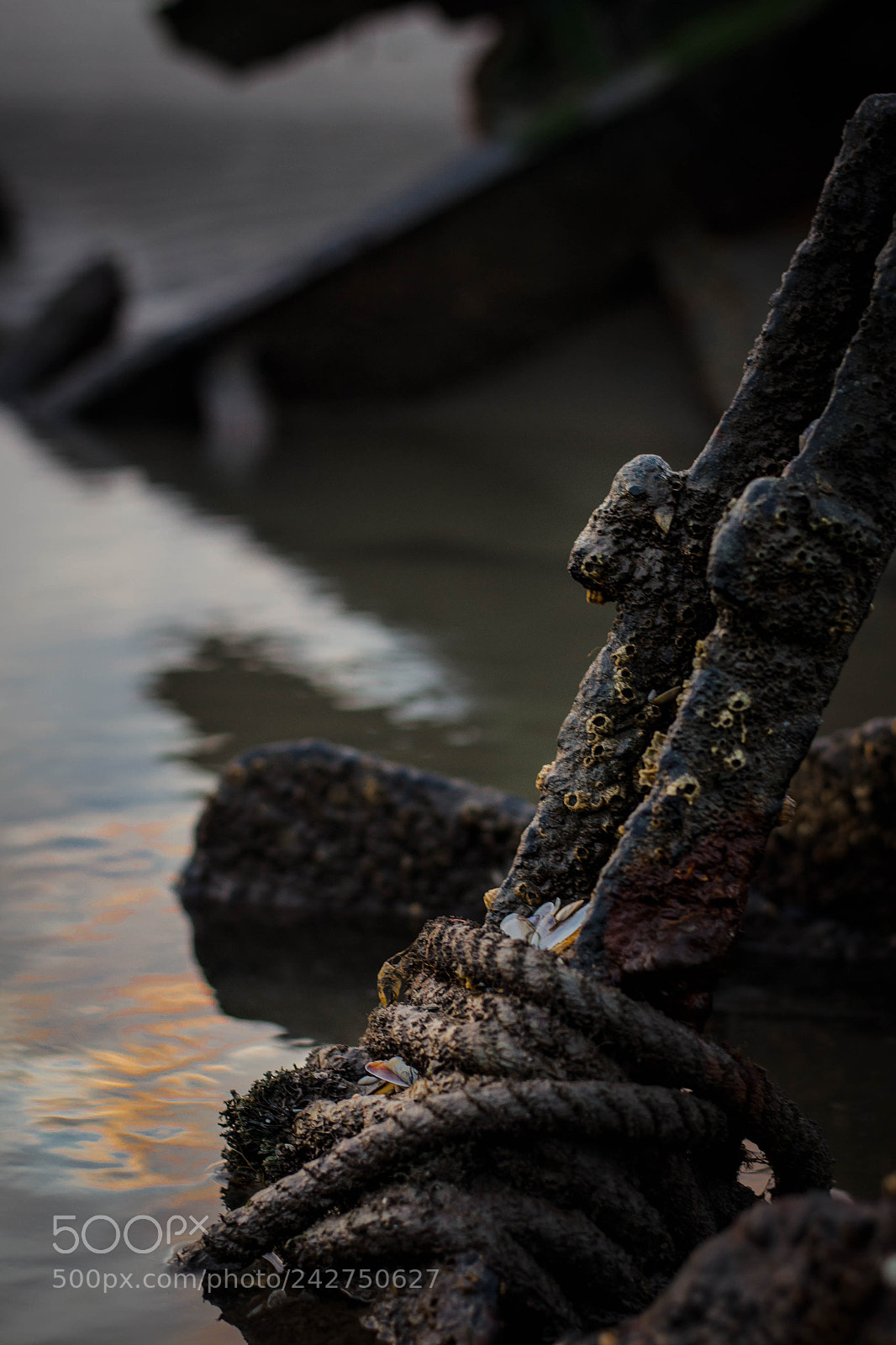 Nikon D3100 sample photo. Untitled photography