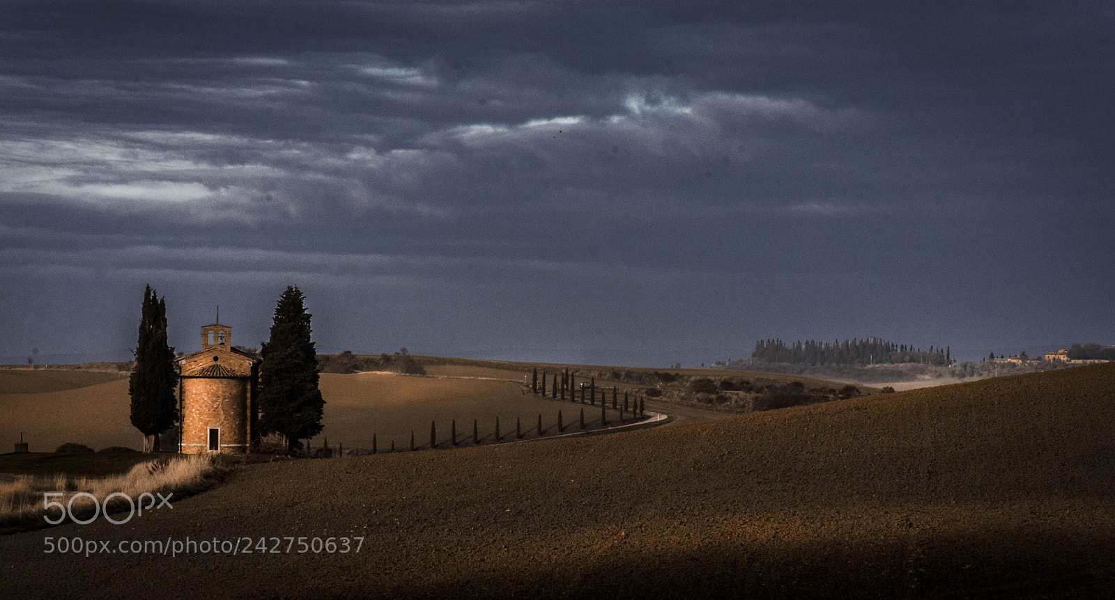 Nikon D7200 sample photo. Details of tuscany photography
