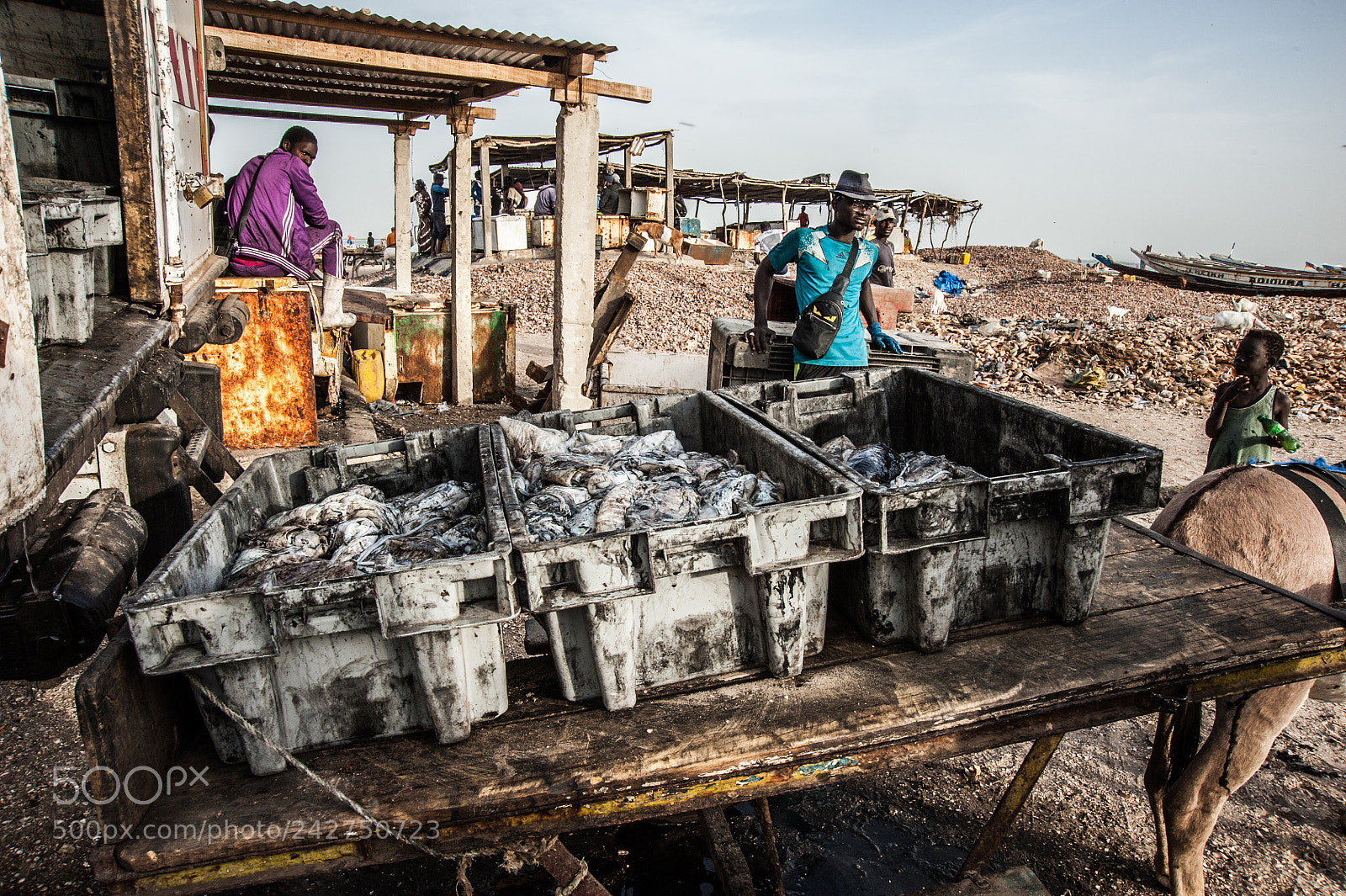 Nikon D700 sample photo. Senegal photography