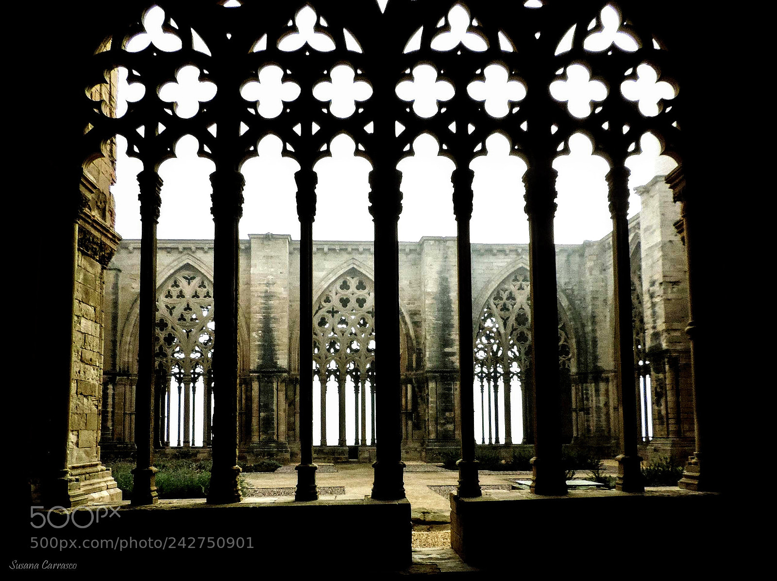 Nikon Coolpix P520 sample photo. Claustro de la seu photography