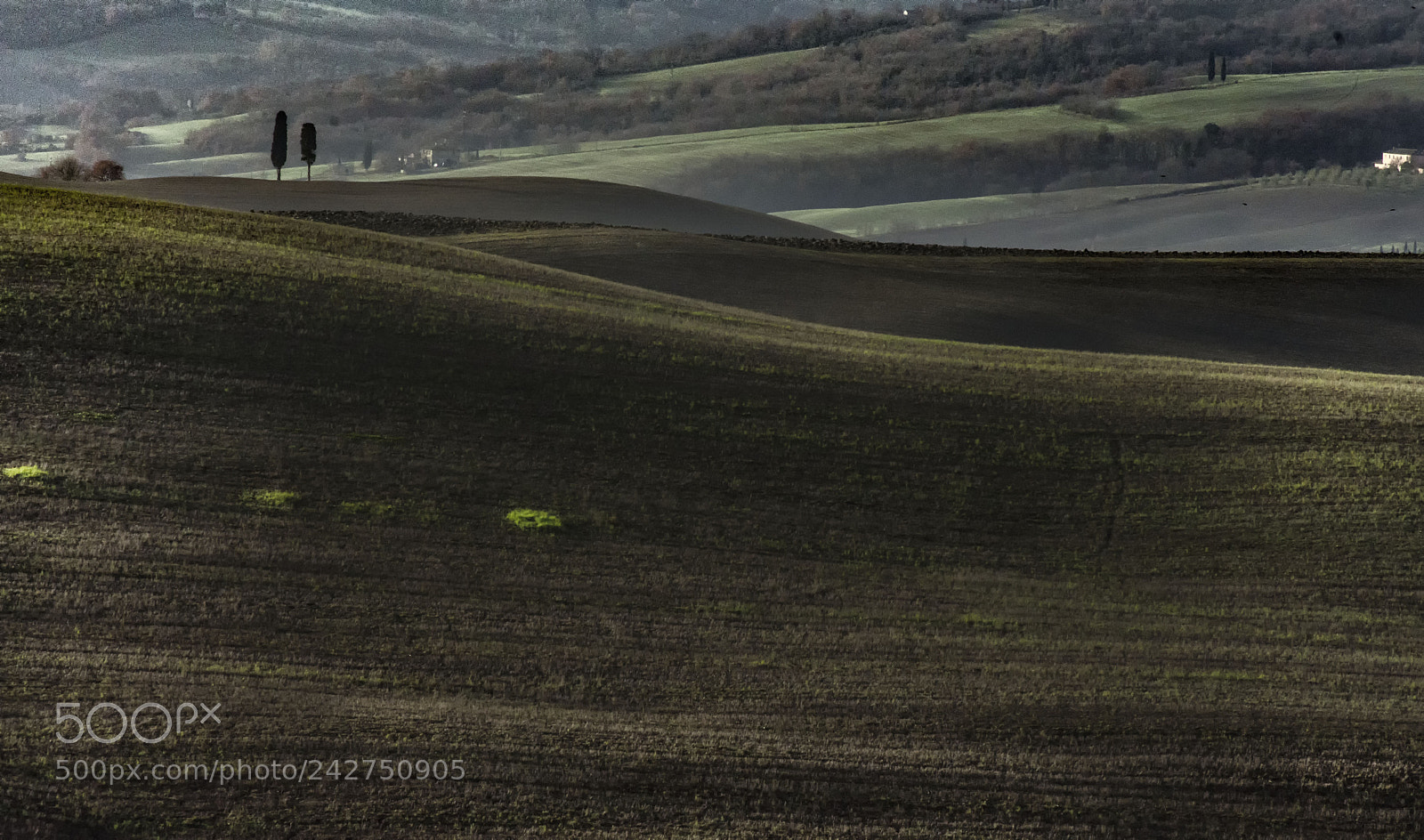 Nikon D7200 sample photo. Tuscany lines photography