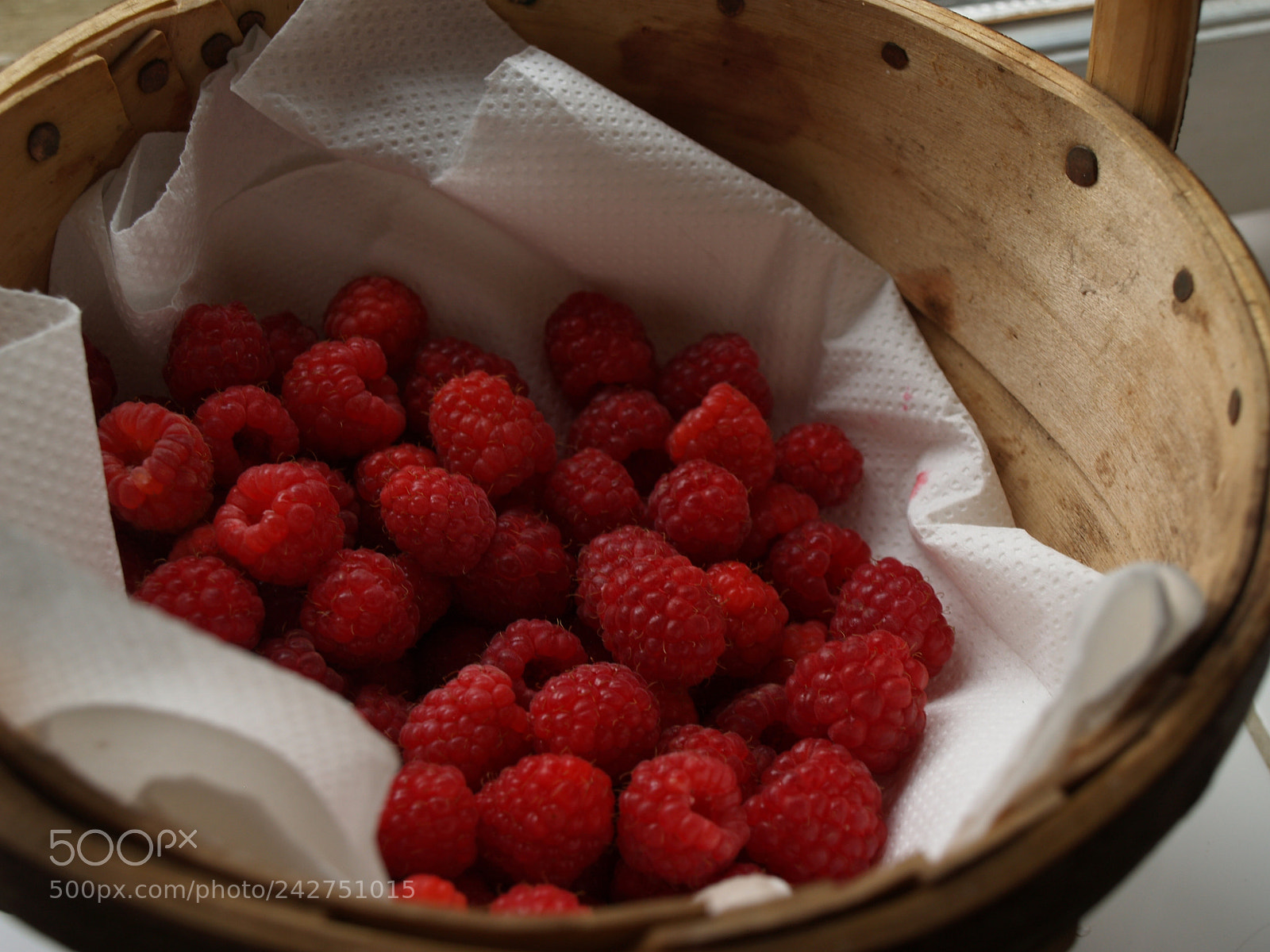 Olympus E-500 (EVOLT E-500) sample photo. Hand picked photography