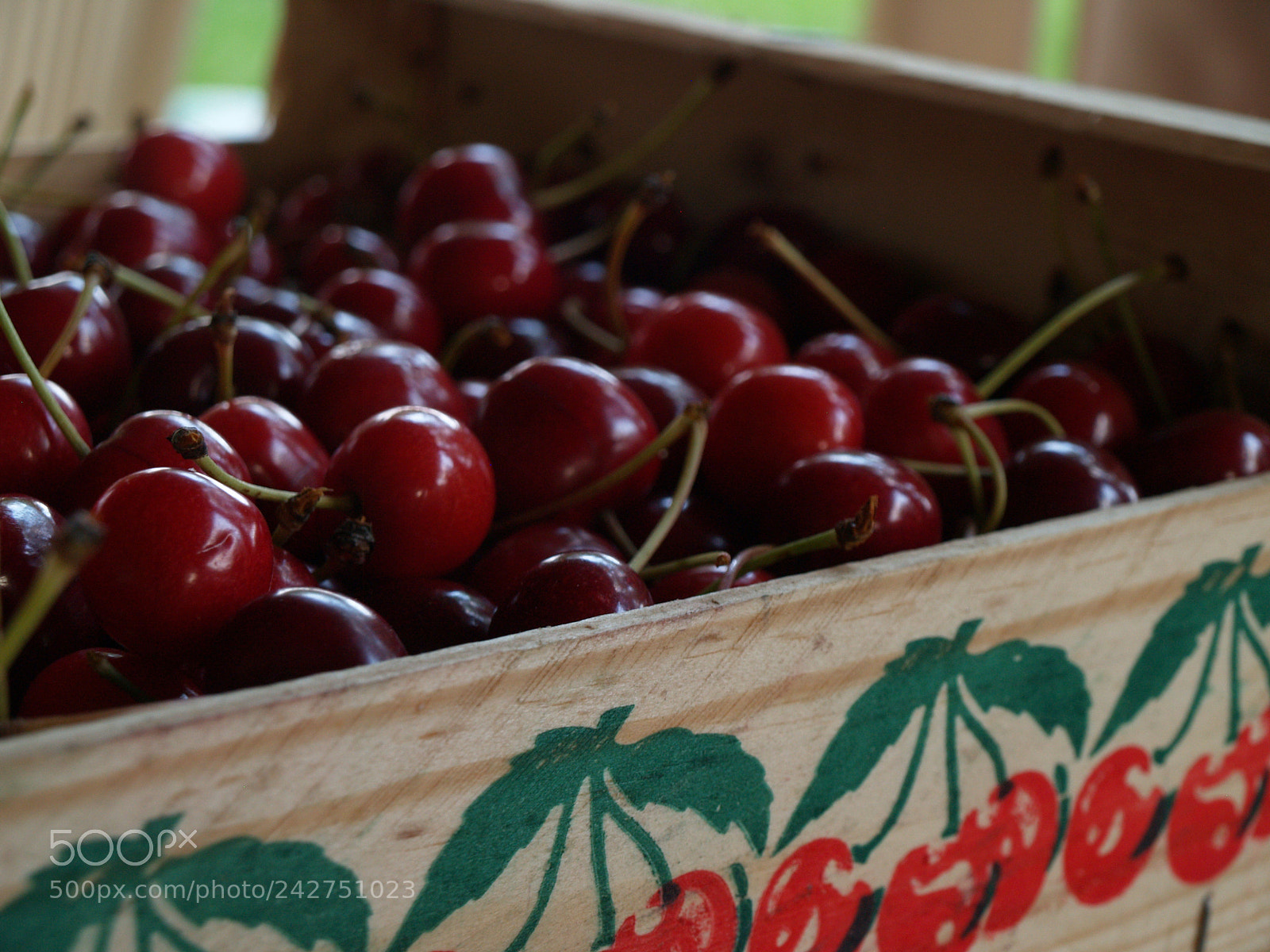 Olympus E-500 (EVOLT E-500) sample photo. Fruits of your labour photography